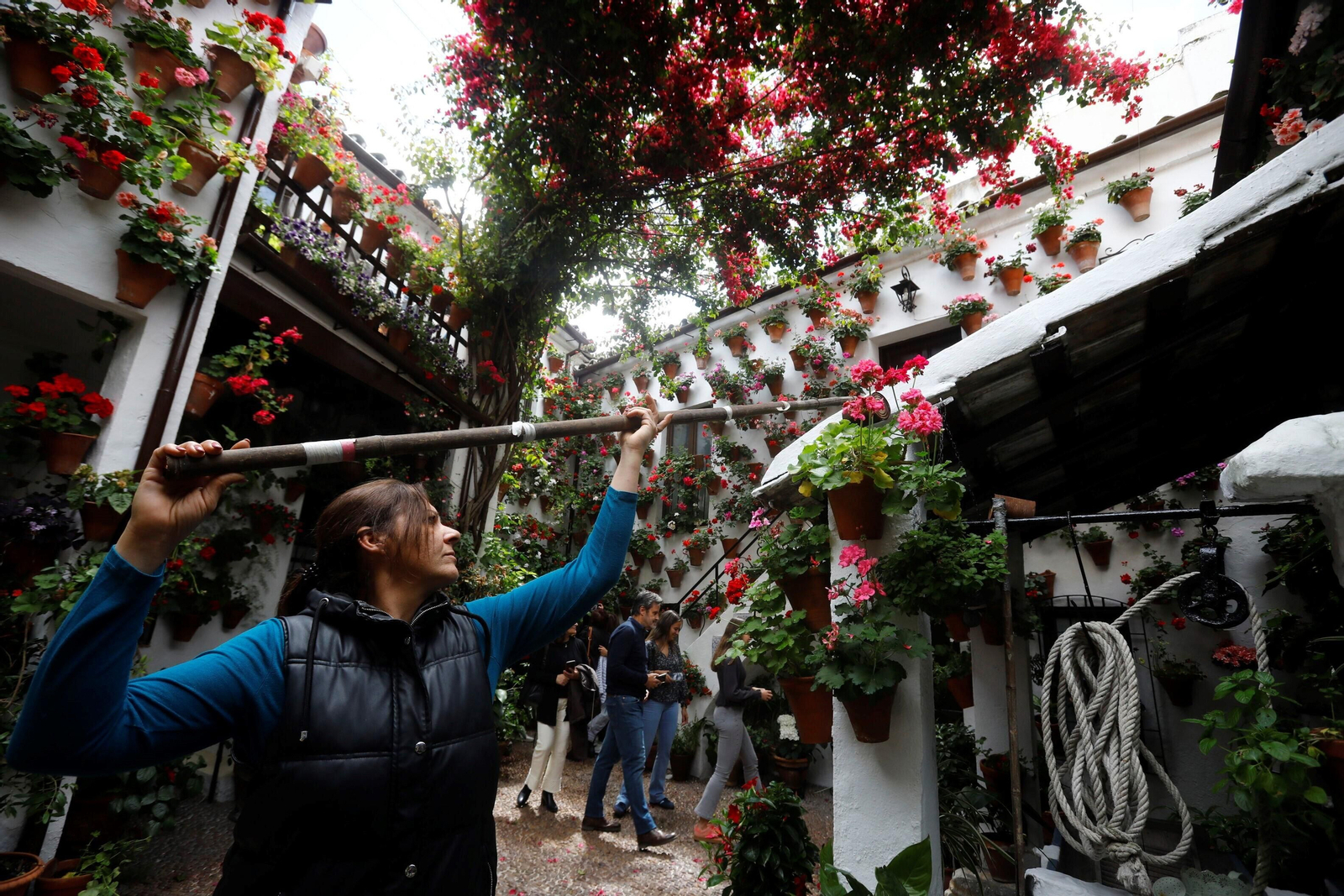 Los últimos preparativos en los Patios de Córdoba para el concurso, en imágenes