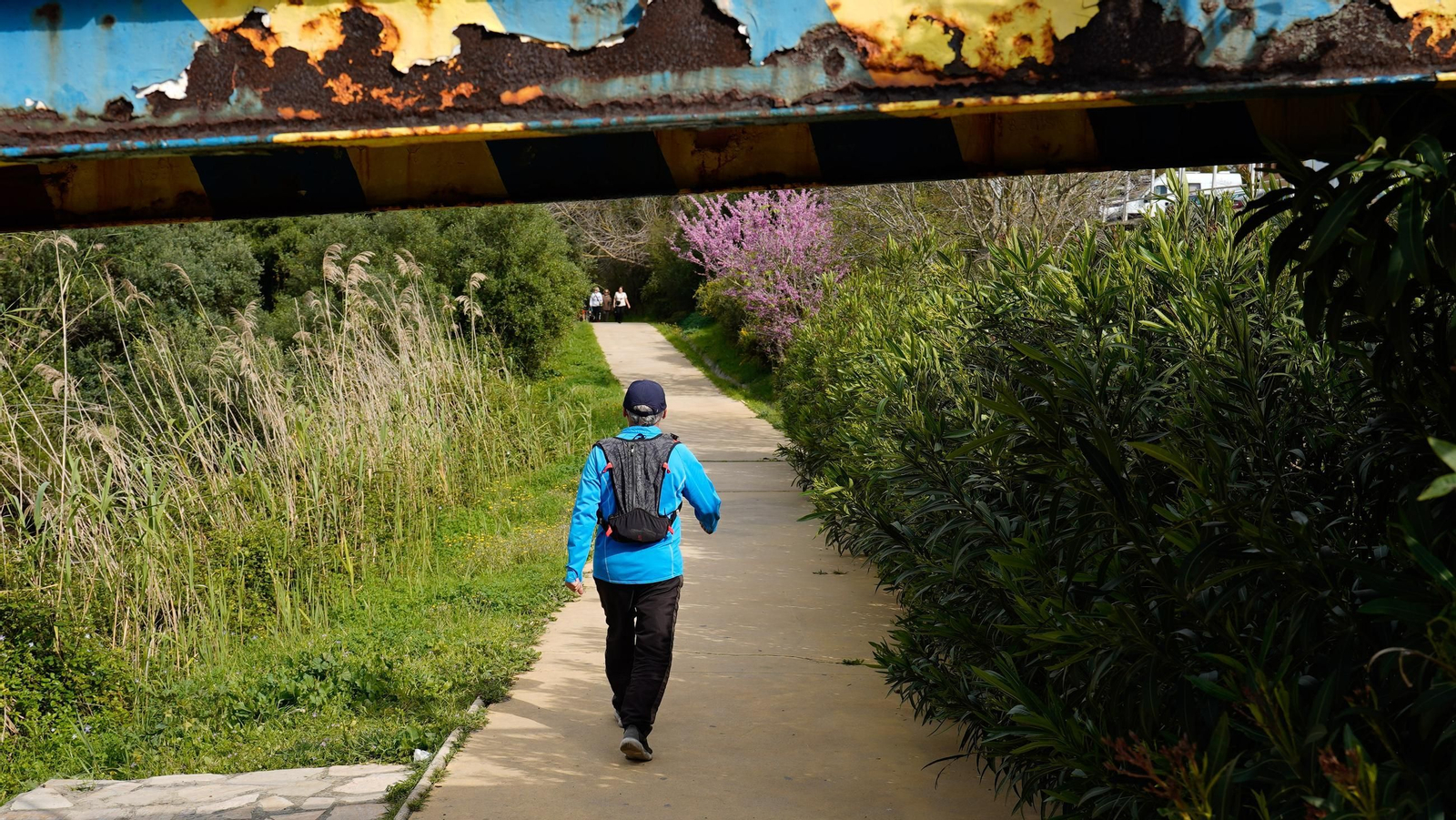 Fotos del río Pícaro y el arroyo del Lobo en Algeciras