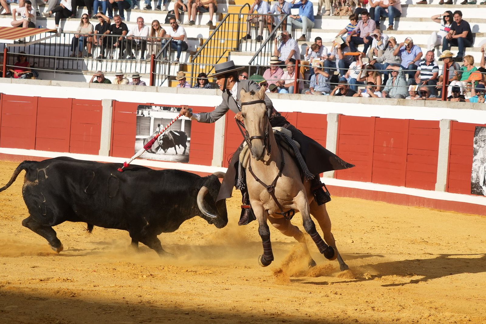 El triunfo del rejoneador Guillermo Hermoso de Mendoza en Pozoblanco, en imágenes