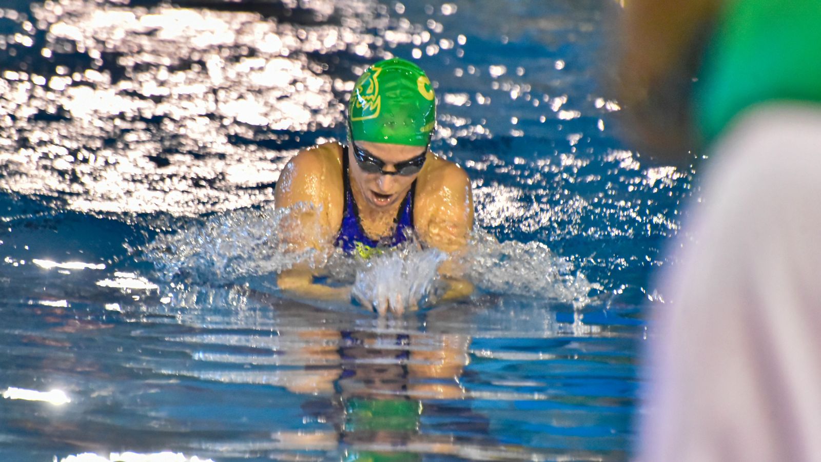 Las fotos del Campeonato de Natación Master en Los Barrios