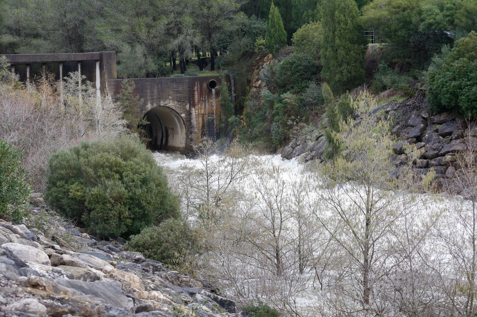 Las fotos del desembalse de agua en la presa de Charco Redondo de Los Barrios