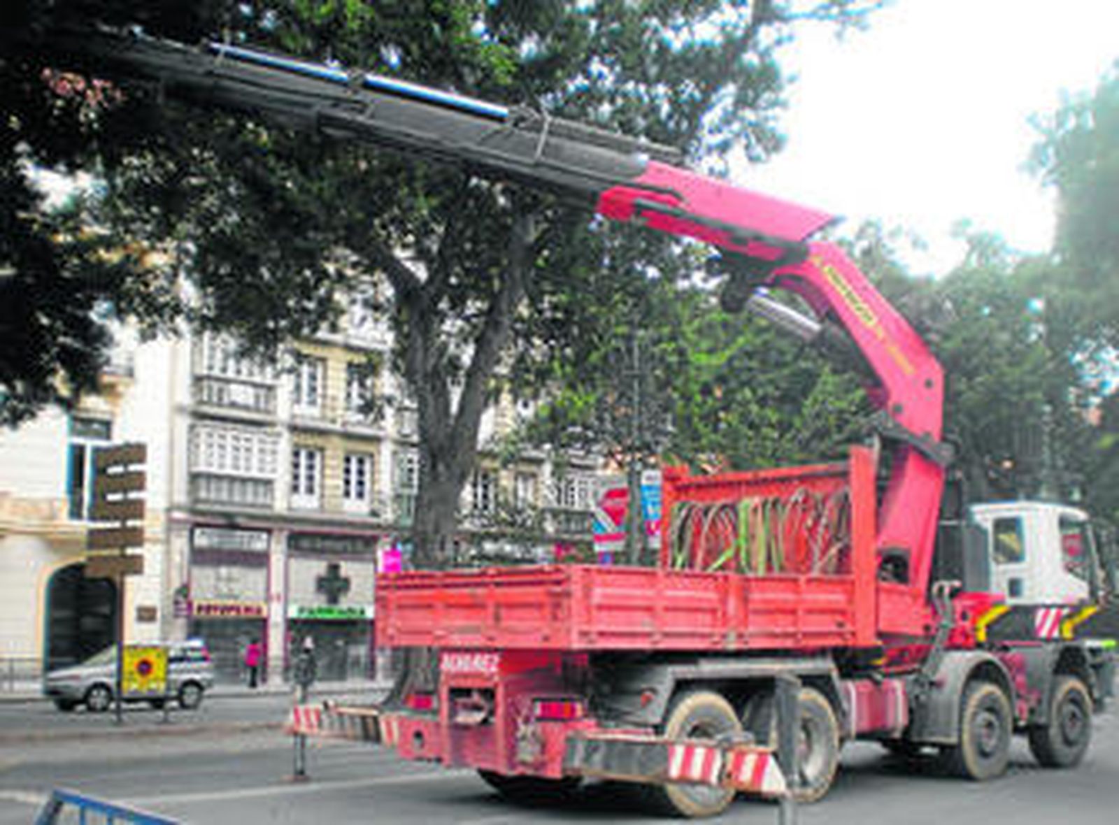 Uno de los camiones grúa utilizados para la poda de árboles.