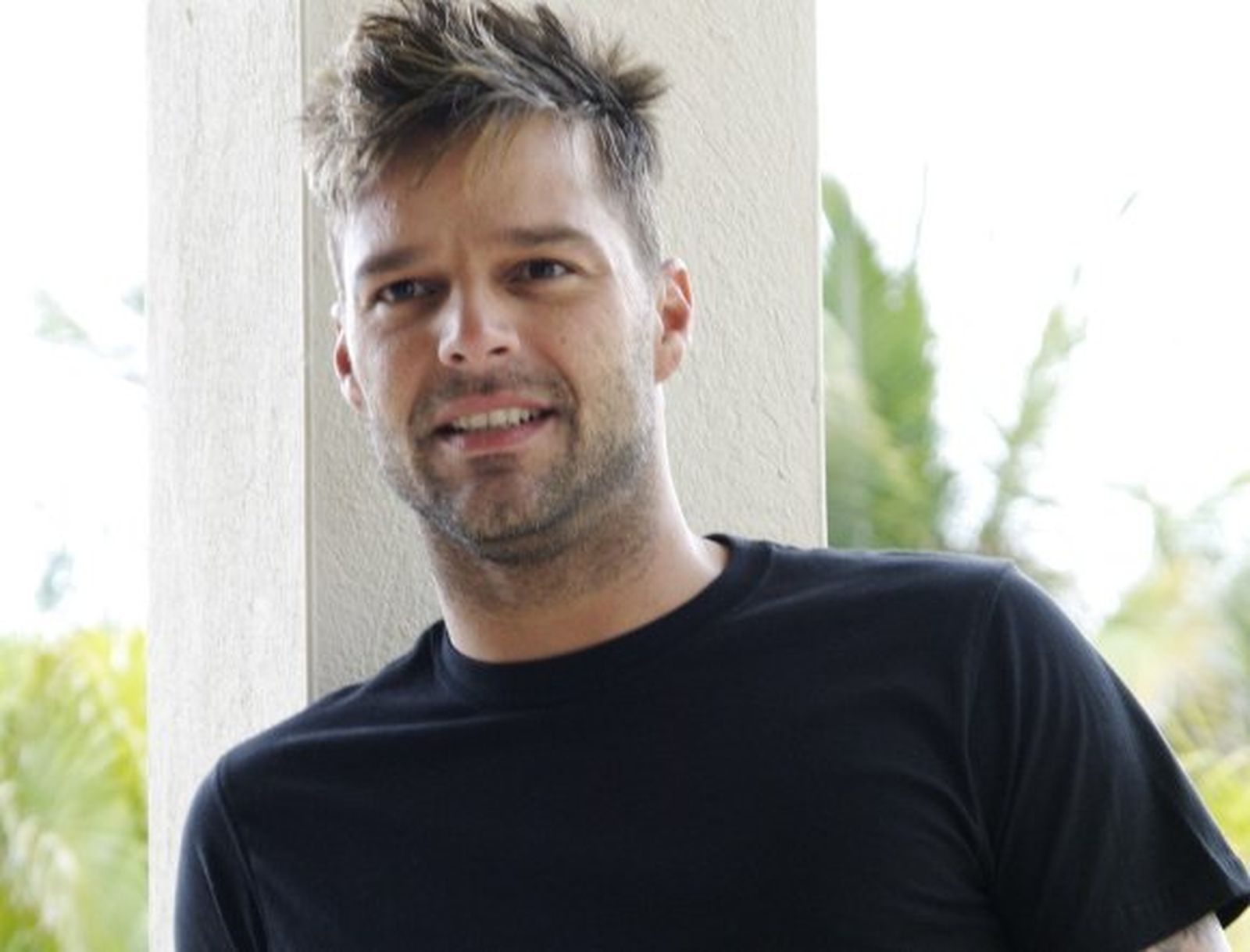 Ricky Martin: "Si tocan la ley del matrimonio gay, como español, me levantaría"