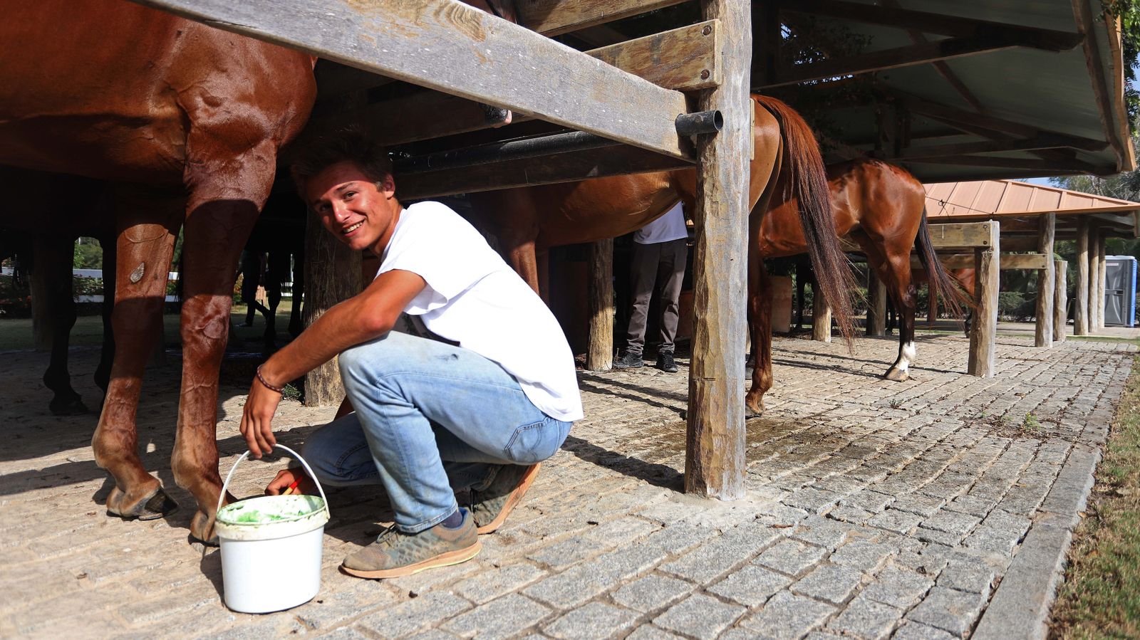 El polo desde dentro