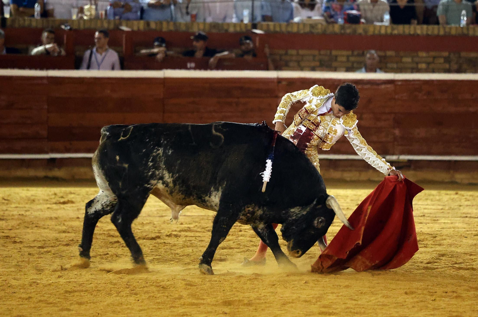 Toros La Merced 2025: Imágenes de la corrida de David de Miranda, Marco Pérez y Borja Jiménez