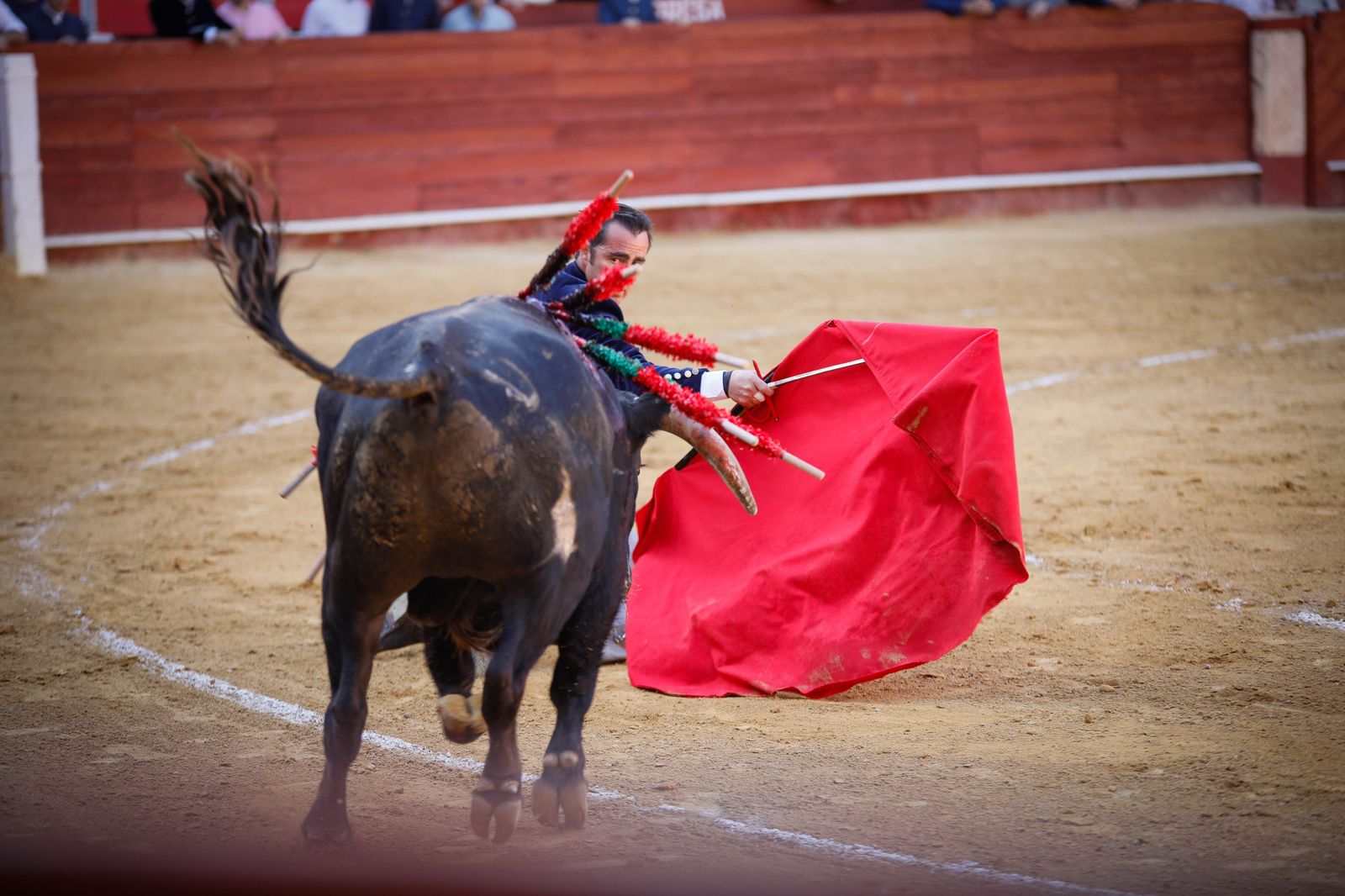 Imágenes del festival mixto lucha contra el cáncer