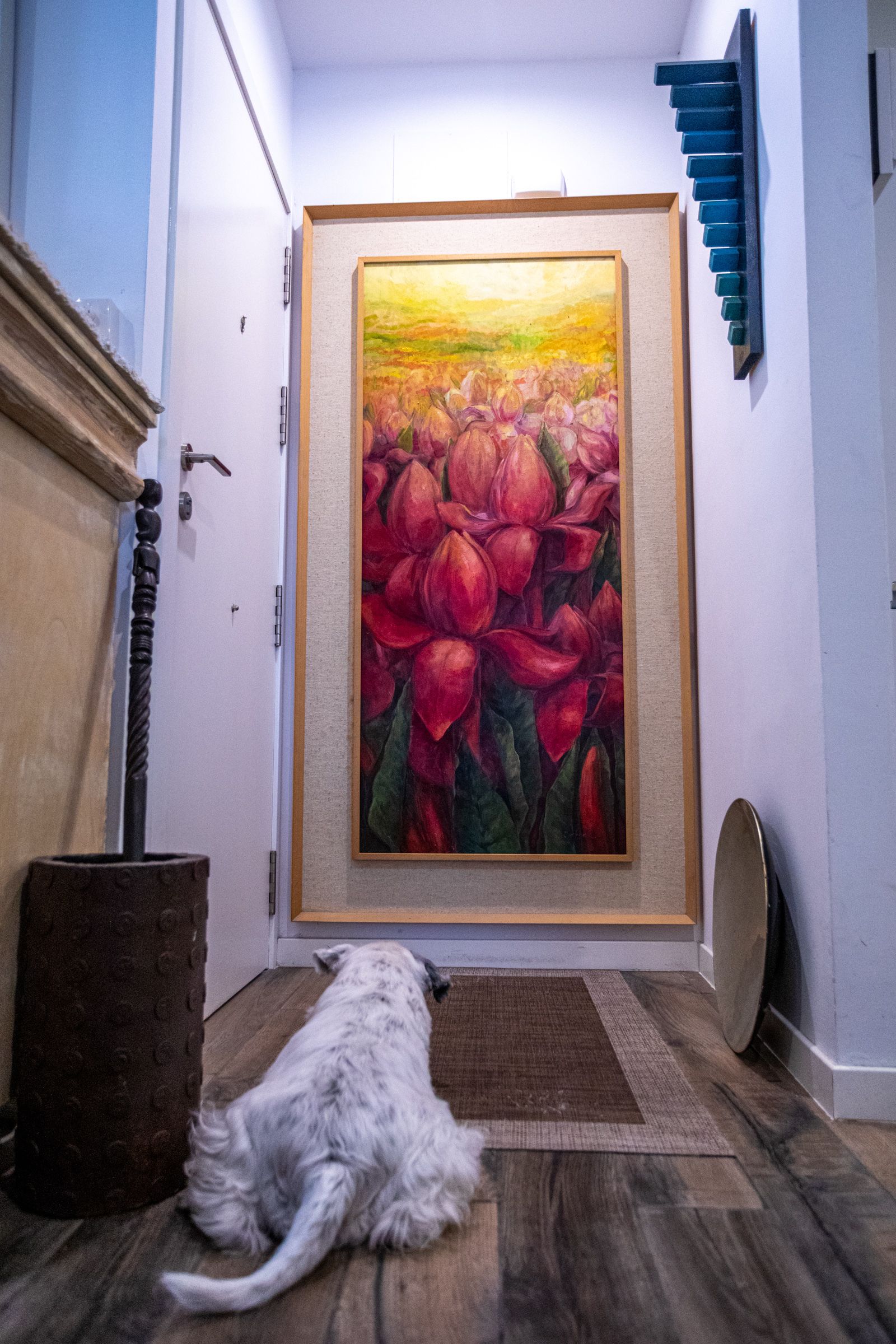 Las imágenes de la casa de Onofre Conde