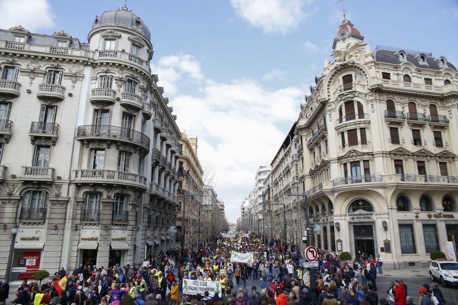 Curiosidades: las mejores fotos de la manifestación del campo en Granada