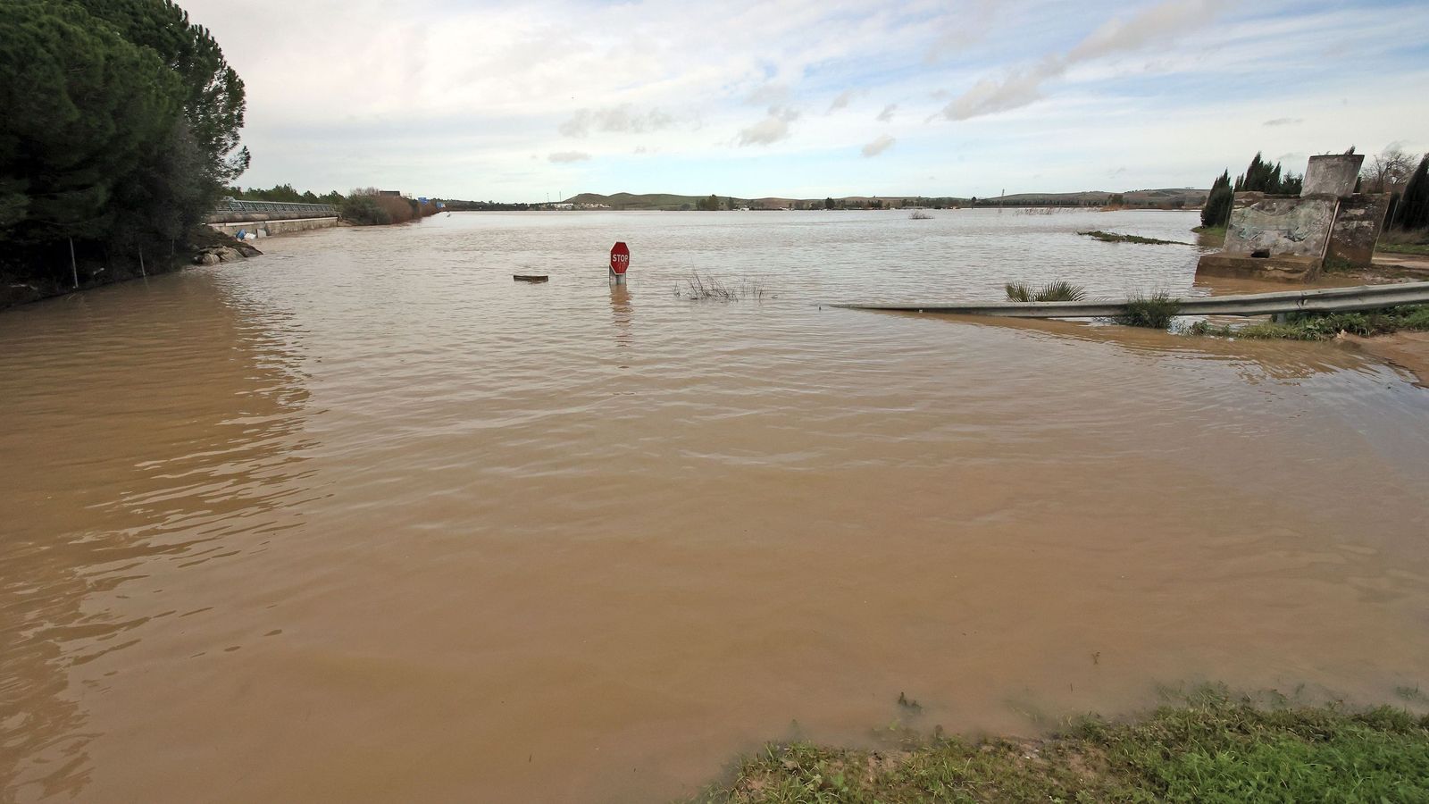 El Guadalete comienza a bajar su nivel poco a poco por la zona rural de Jerez