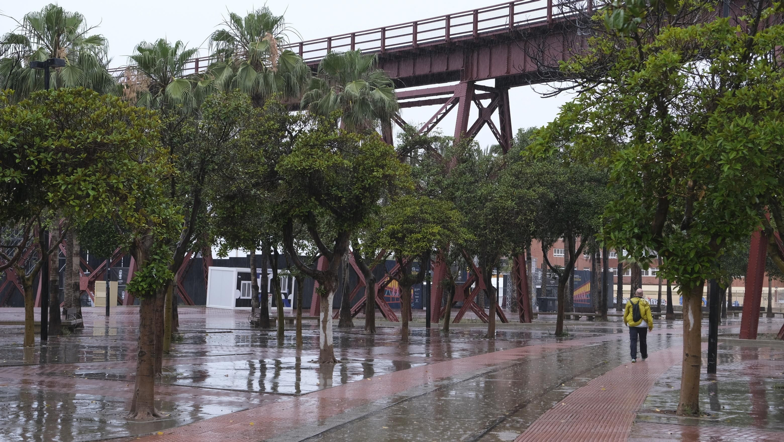 Los almerienses expresan su alegría por la lluvia
