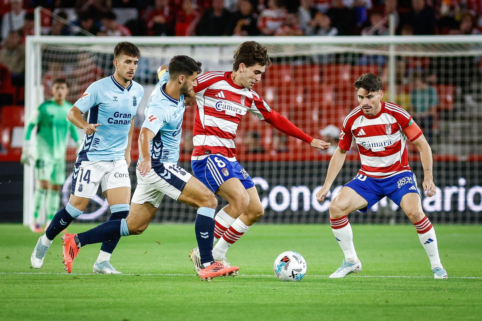Pedro Alemañ es un fijo en las alineaciones de Pacheta.