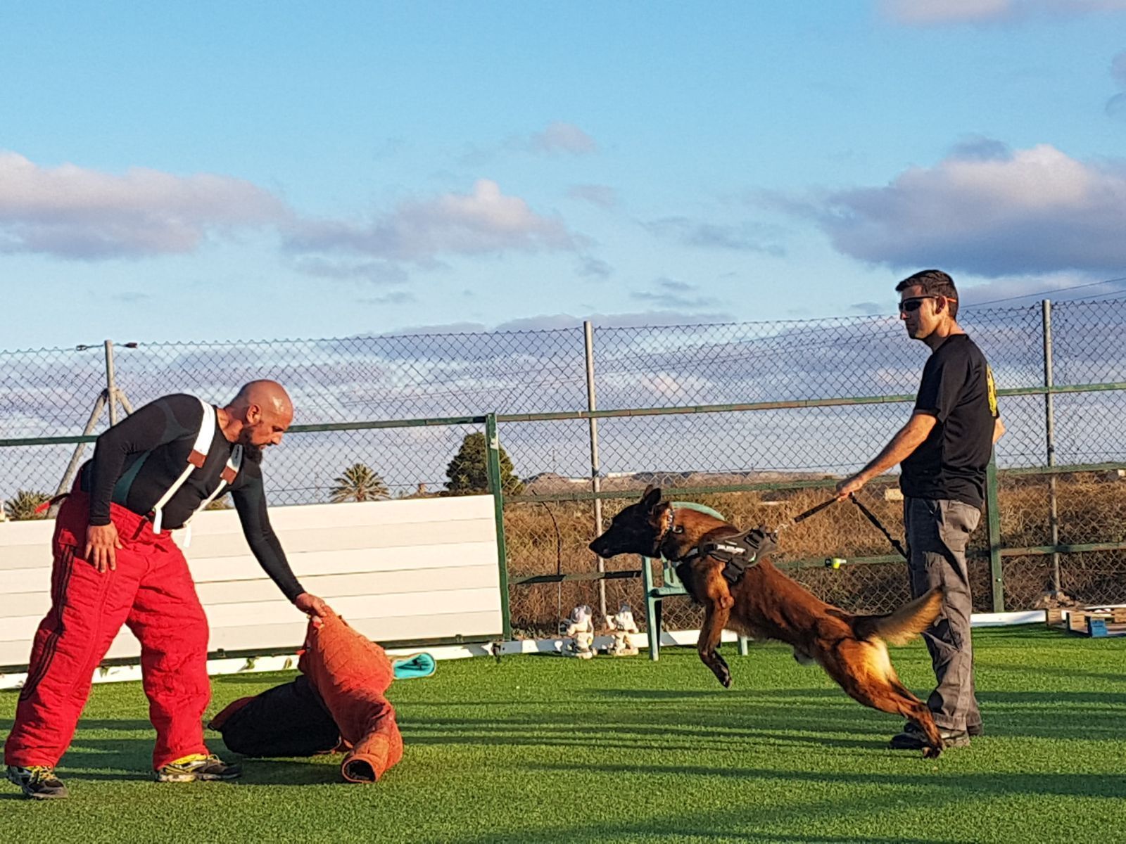 Clase práctica de adiestramiento canino.