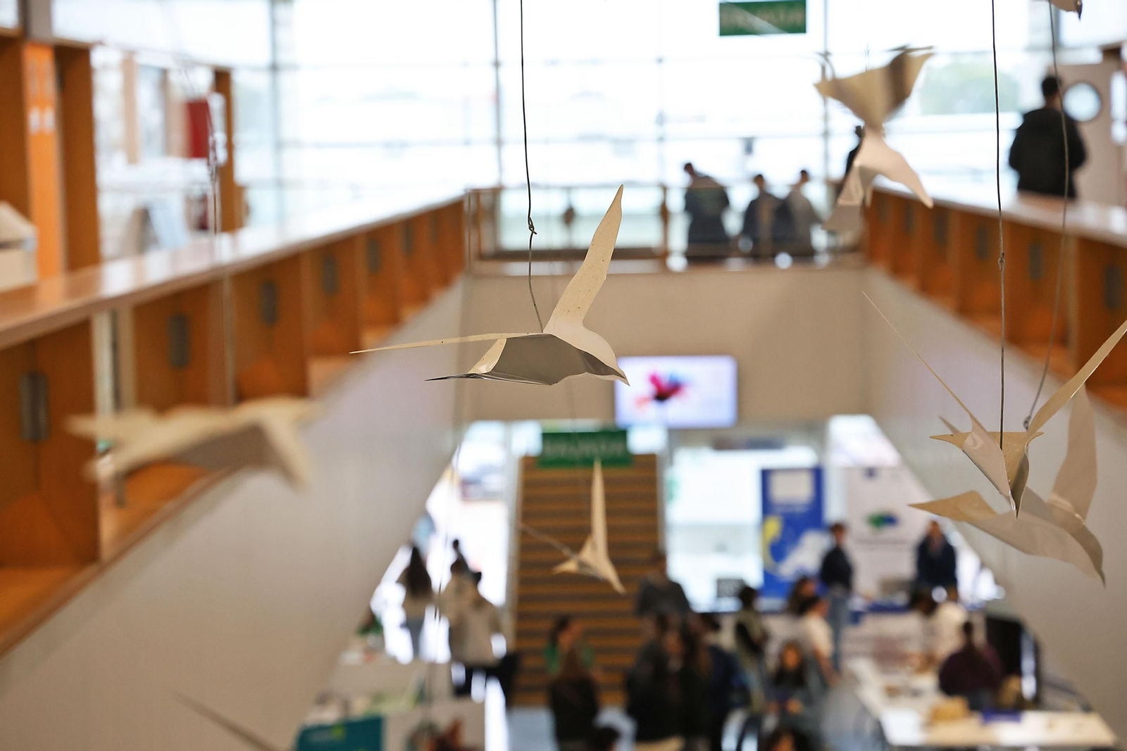 Imágenes de la Primera Edición de la Feria de la Ciencia de Huelva