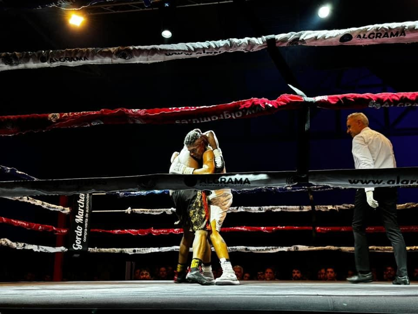 El boxeo enamora en una velada histórica en Jaén, en imágenes