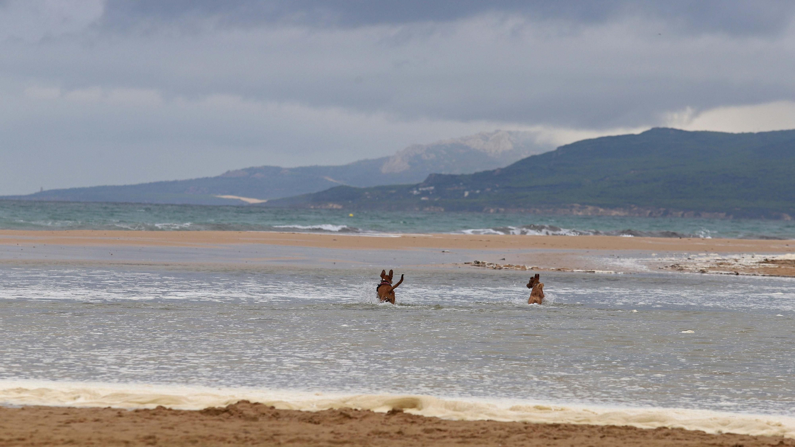 Fotos de la marea alta en la playa de Los Lances