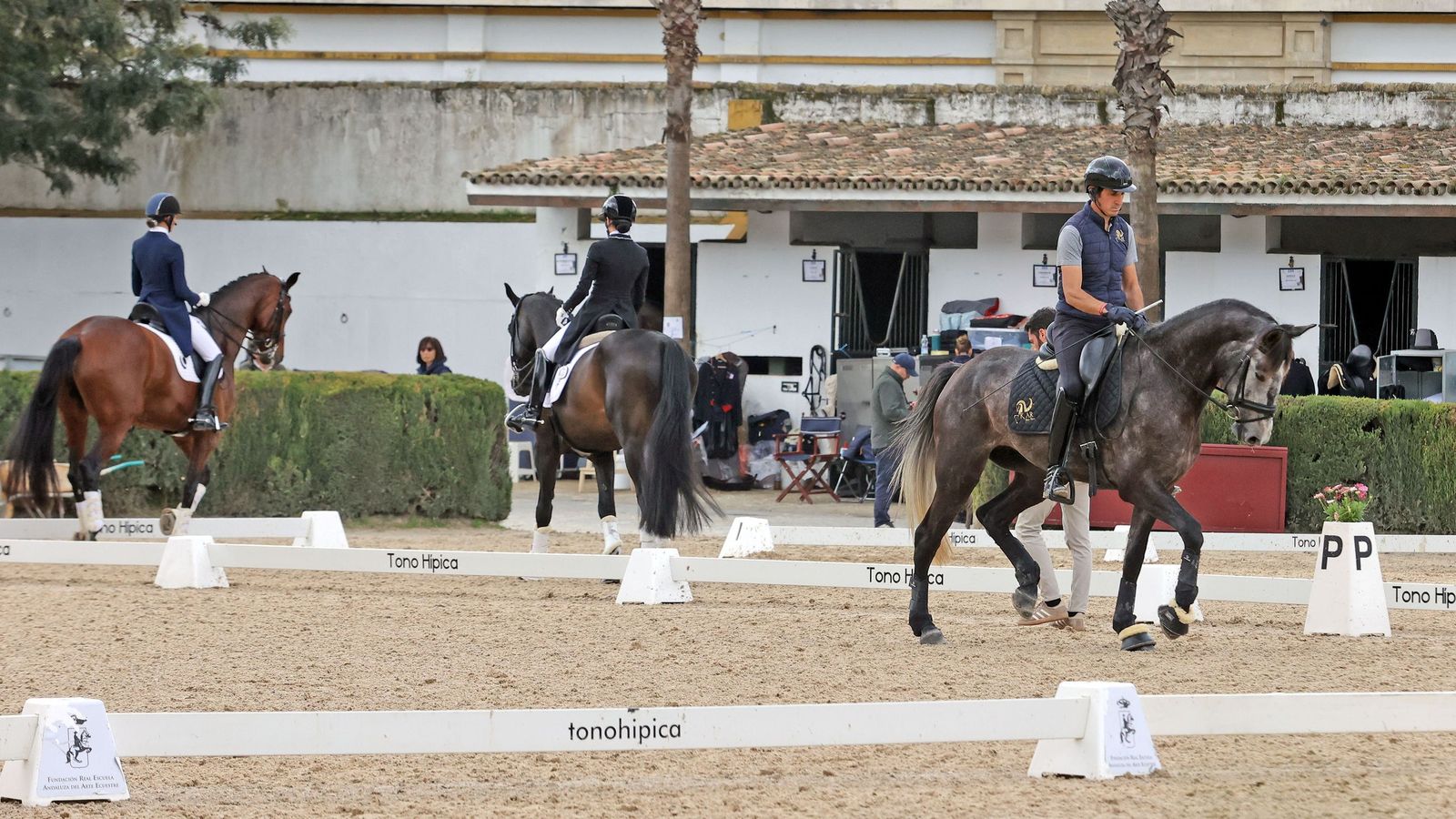 Concurso Internacional de Doma Clásica en La Real Escuela de Jerez