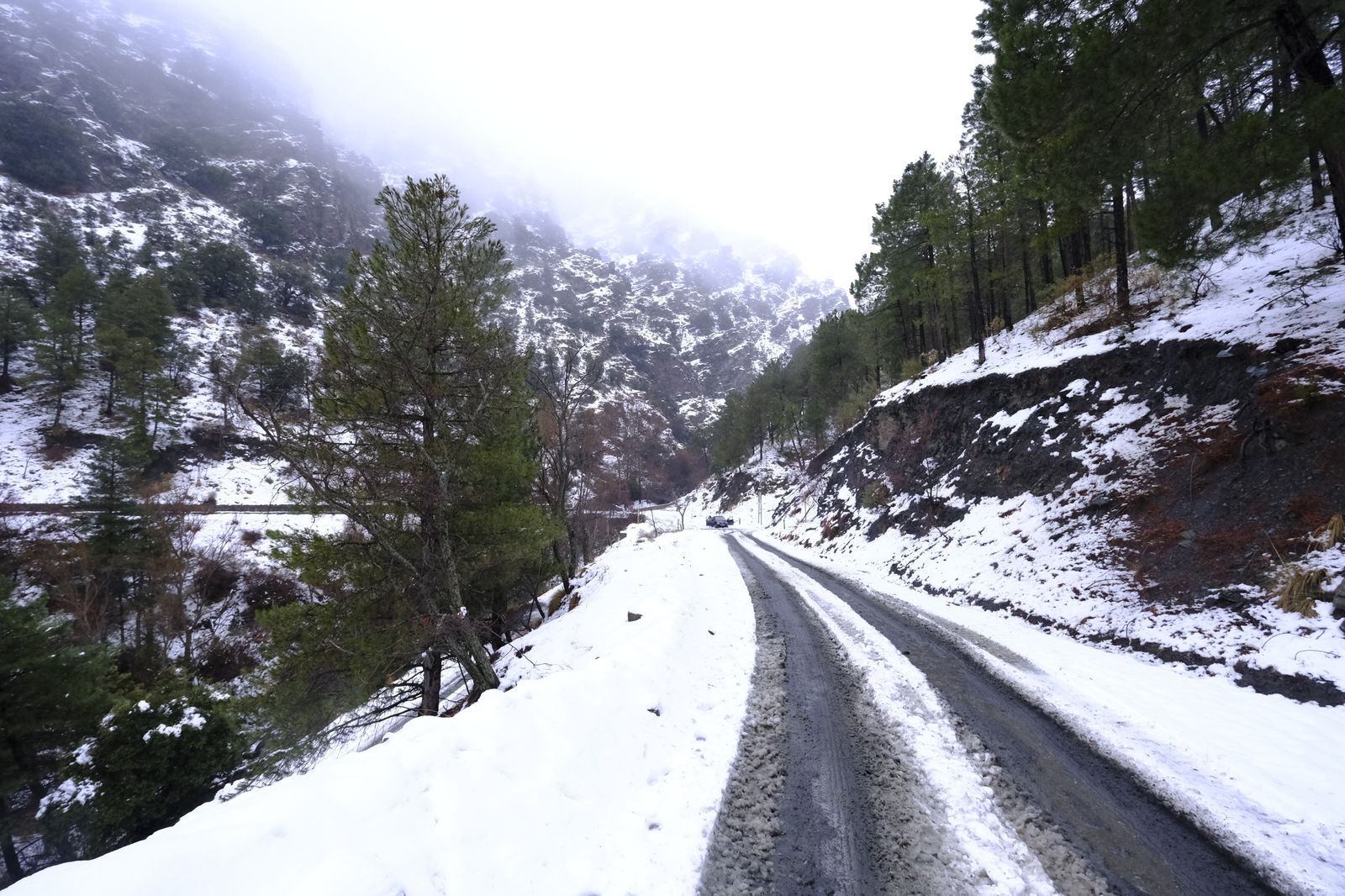 Fotogalería nevada en la Provincia de Almería
