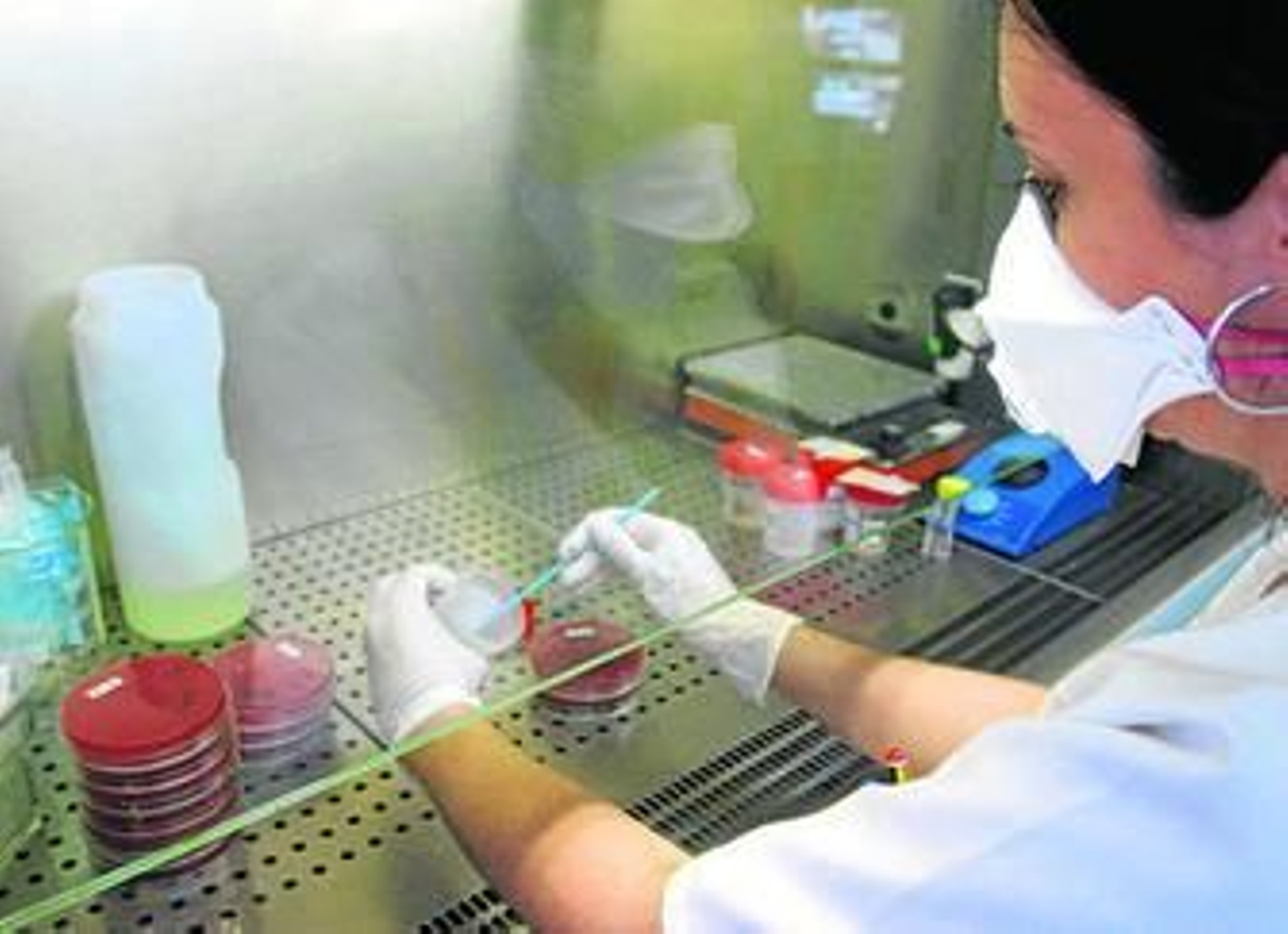 Las patologías necesitan una confirmación del diagnóstico en laboratorio.