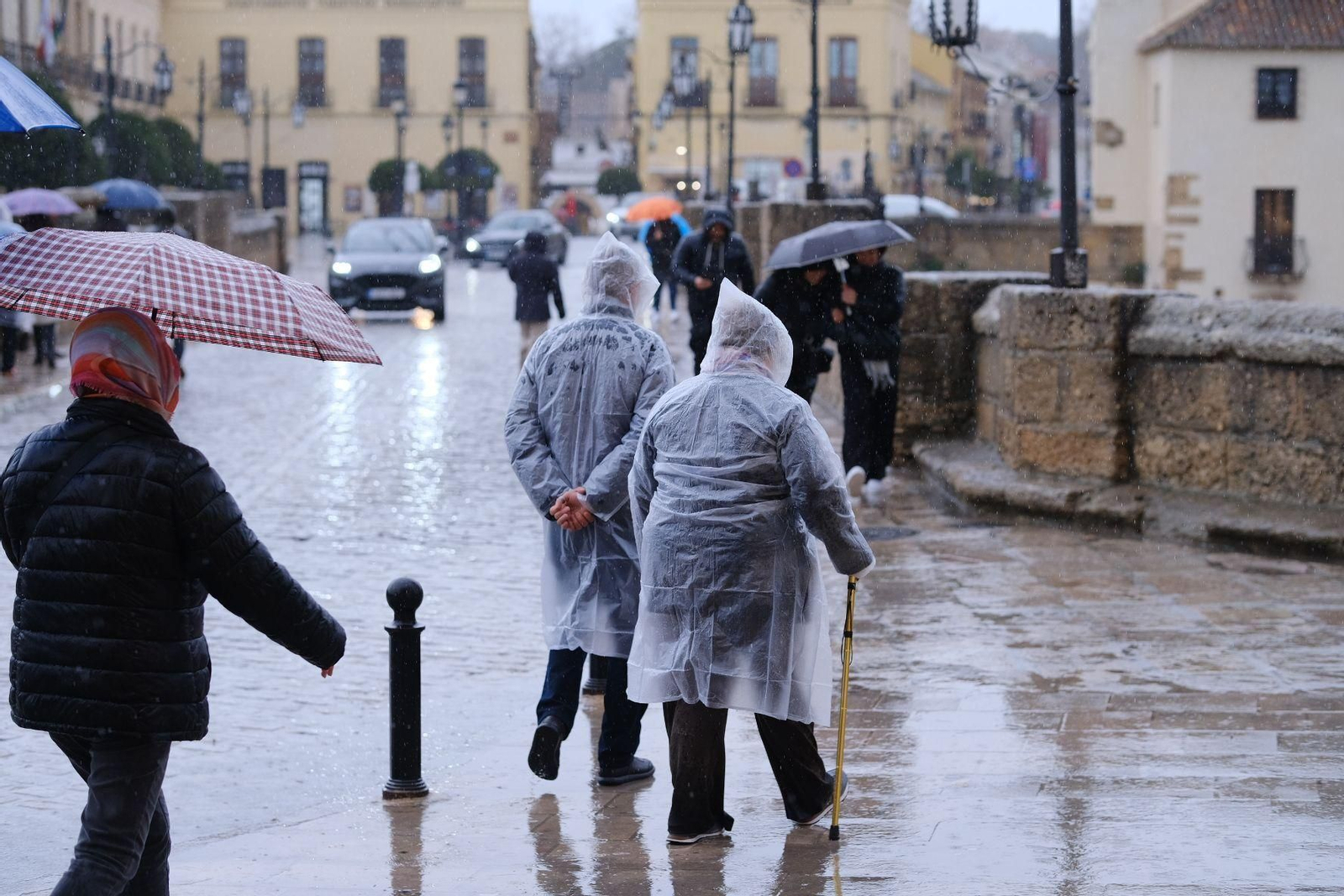 Las imágenes de la lluvia de la borrasca Karlotta en Ronda Las imágenes de la lluvia de la borrasca Karlotta en Ronda