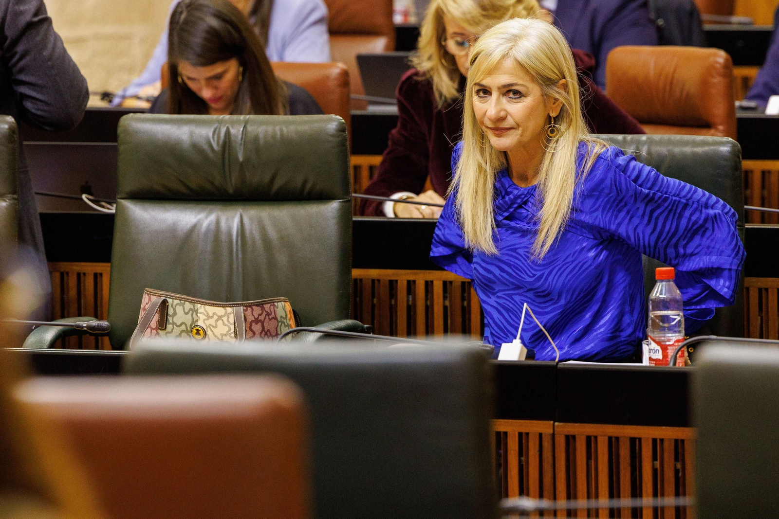 La consejera de Desarrollo Educativo, Patricia del Pozo, en el Parlamento andaluz.