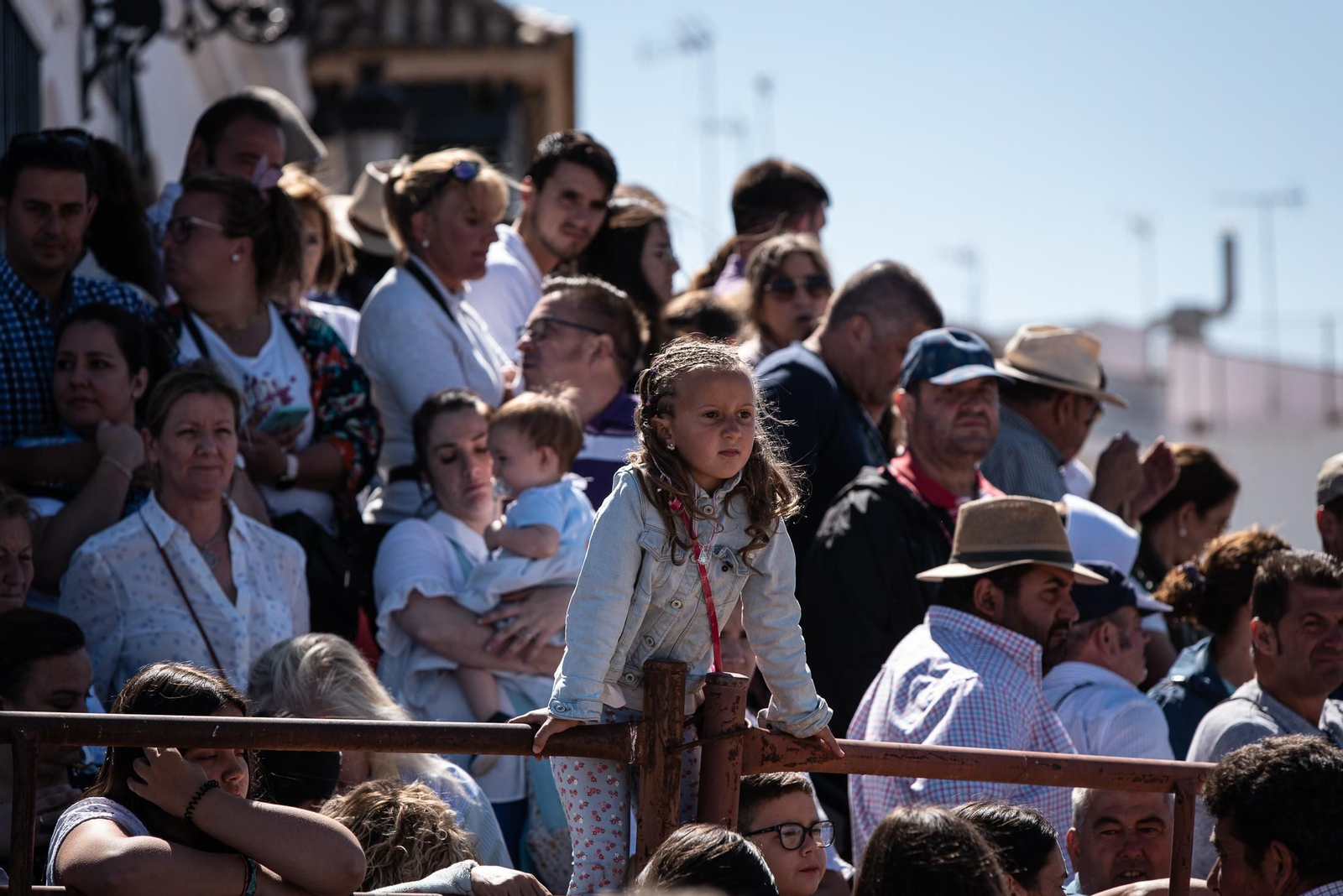 Imágenes de la Saca de las Yeguas a su paso por El Rocío