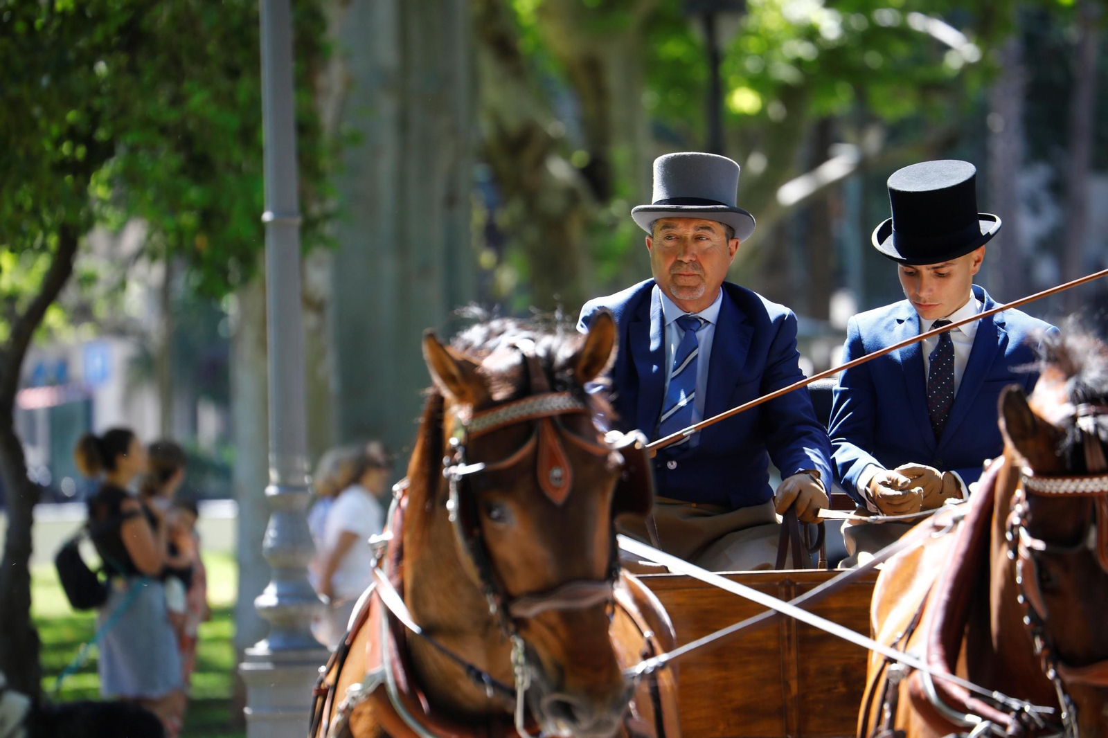La exhibición de carruajes de tradición Nuestra Señora de la Salud, en imágenes