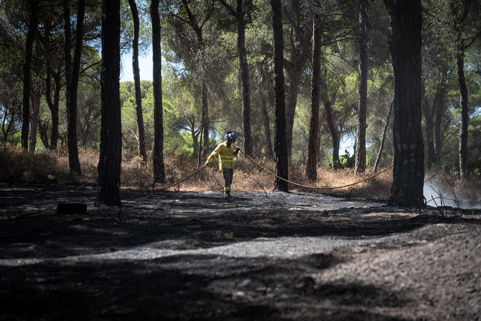 Imágenes de las labores de extinción del incendio de Bonares