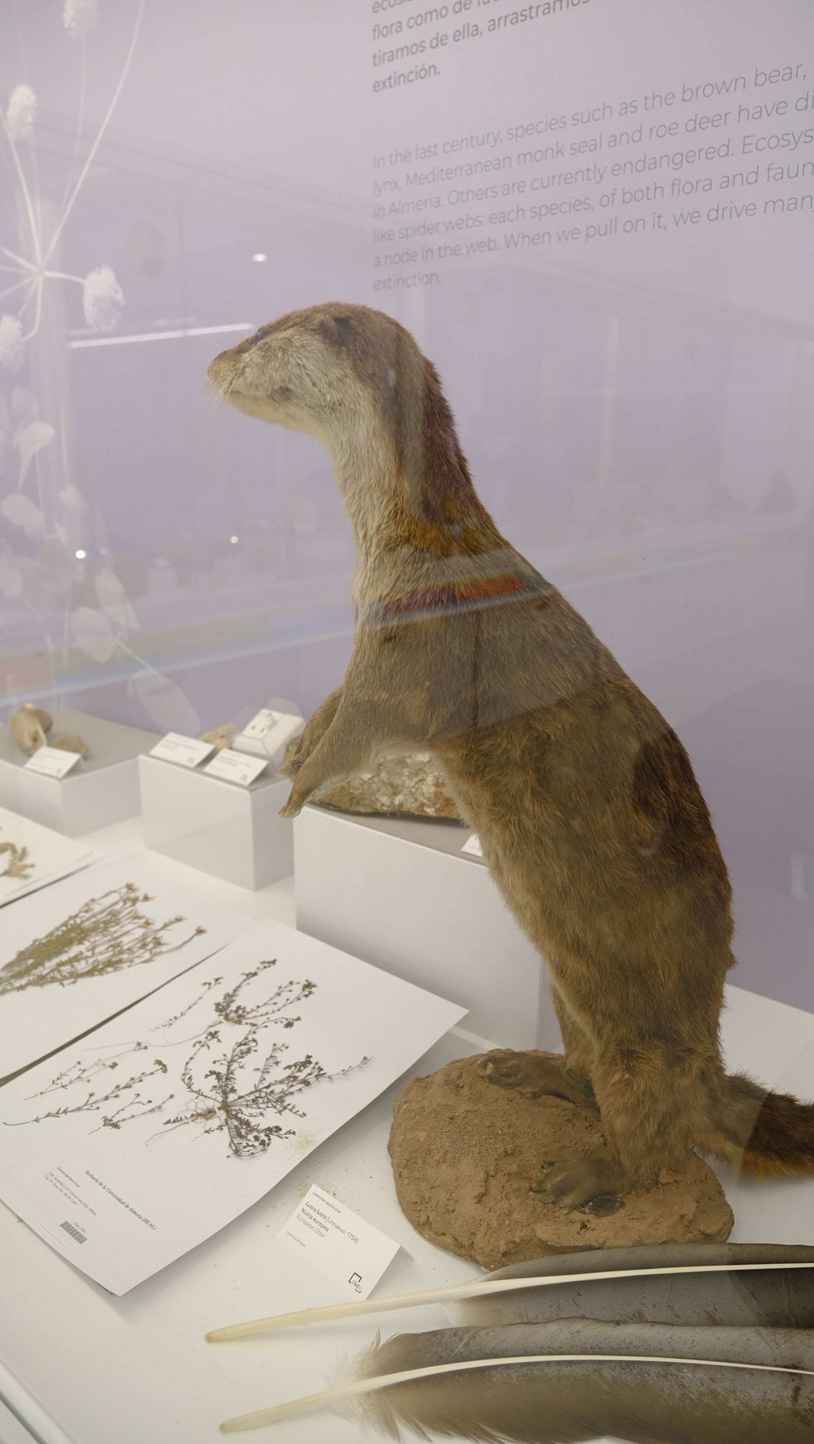 Las mejores imágenes del Pabellón de Historia Natural de la UAL