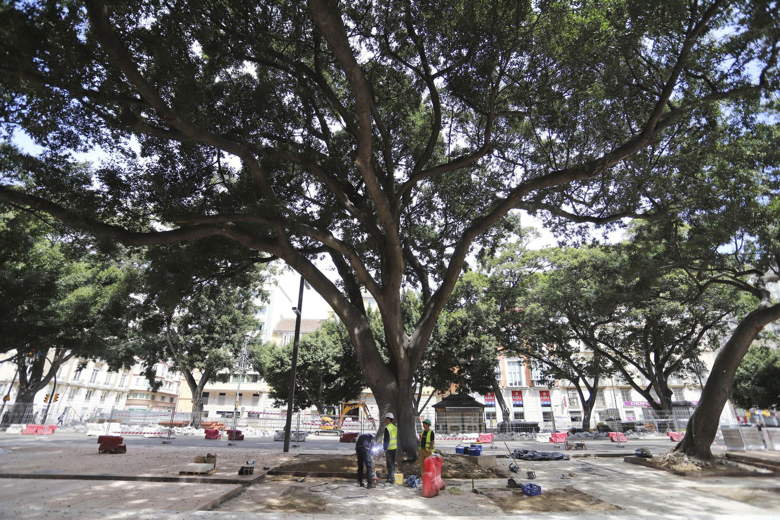 Las fotos en la cuenta atrás para la nueva Alameda Principal