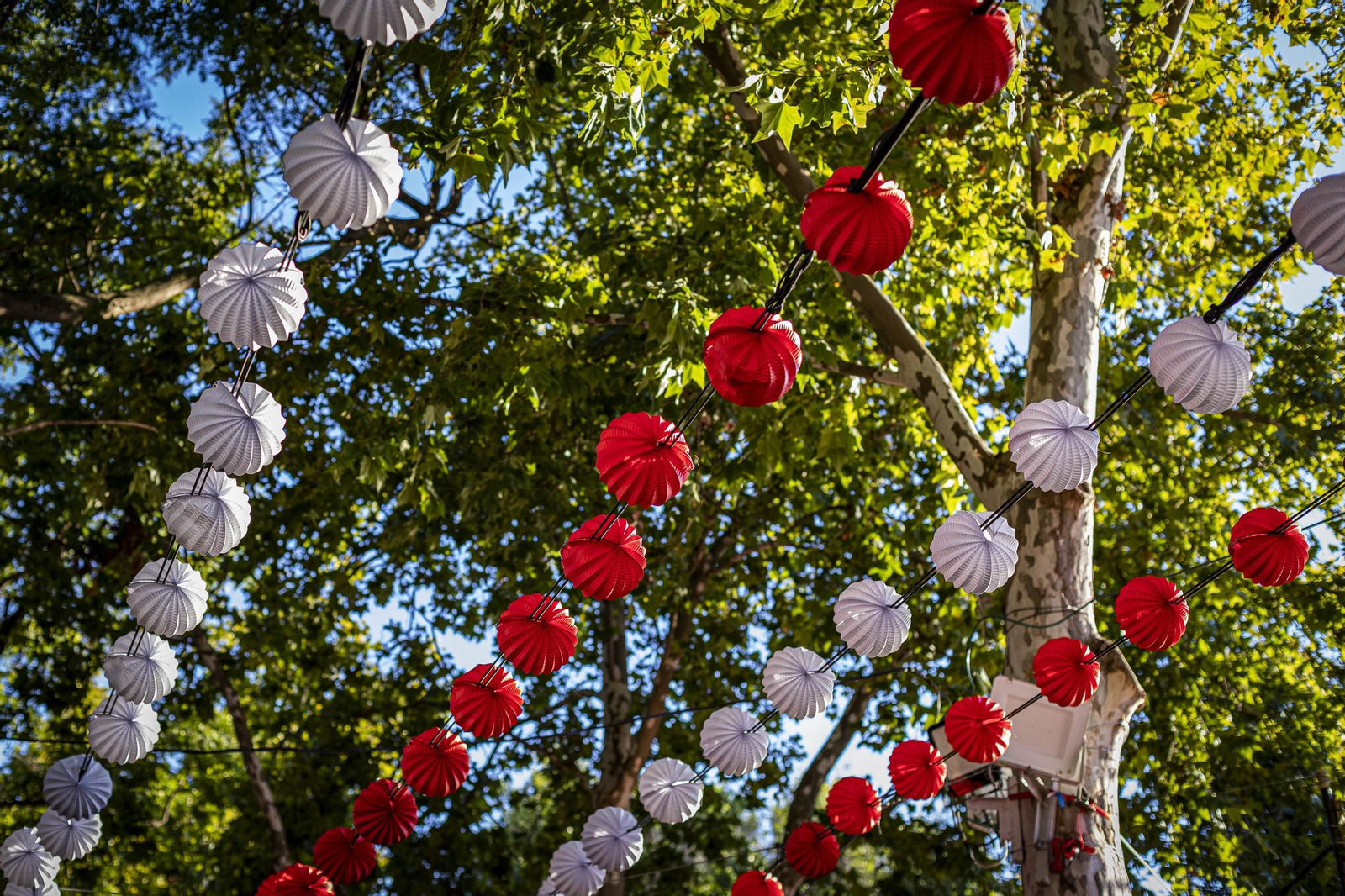Búscate en las imágenes del viernes de Feria en San Fernando