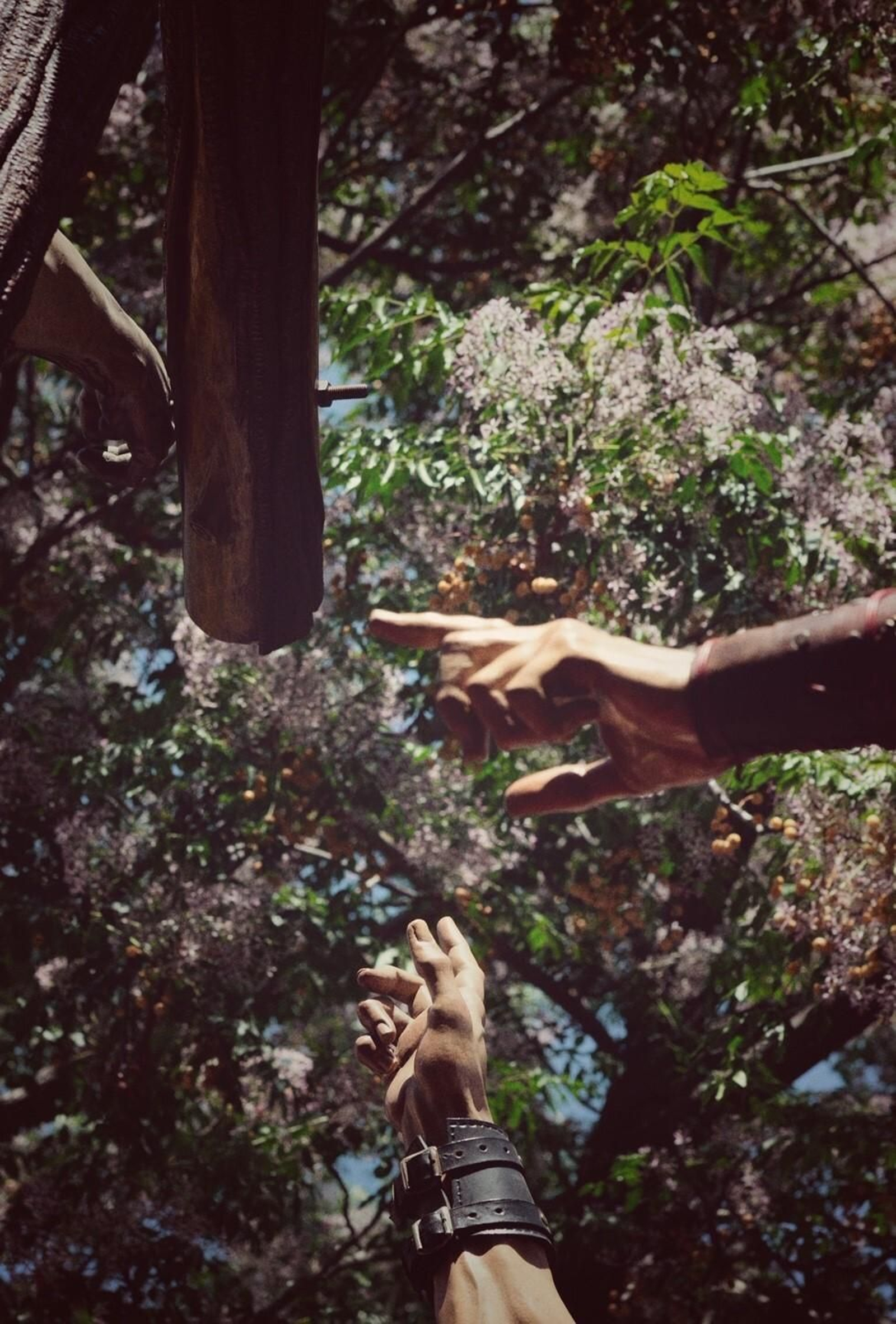 Detalle del misterio de la Hermandad del Cerro, disparada con una Olympus Trip MD2