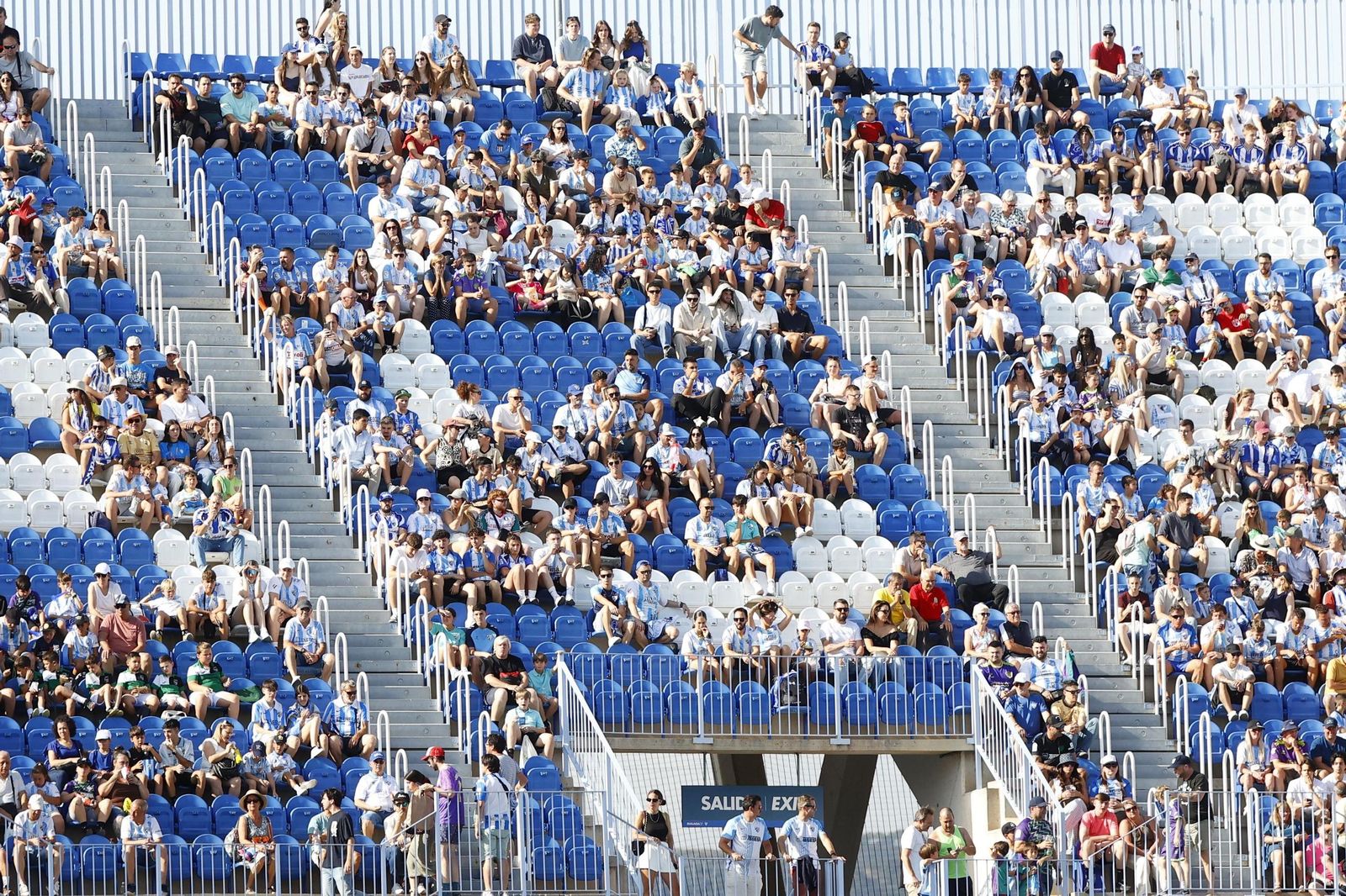 Búscate en las gradas de La Rosaleda en el Málaga CF-Burgos