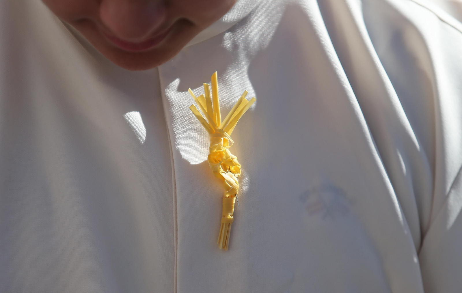 Fotos del Domingo de Ramos en San Roque: La Borriquita