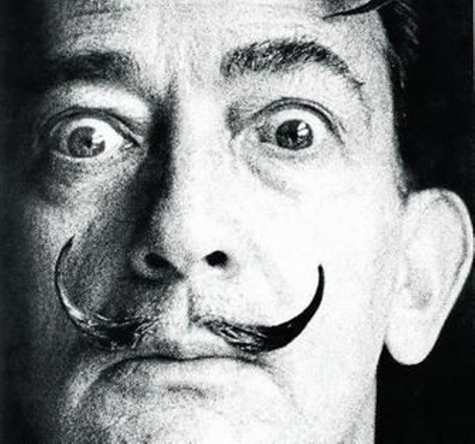 Un fascinante retrato de Salvador Dalí.