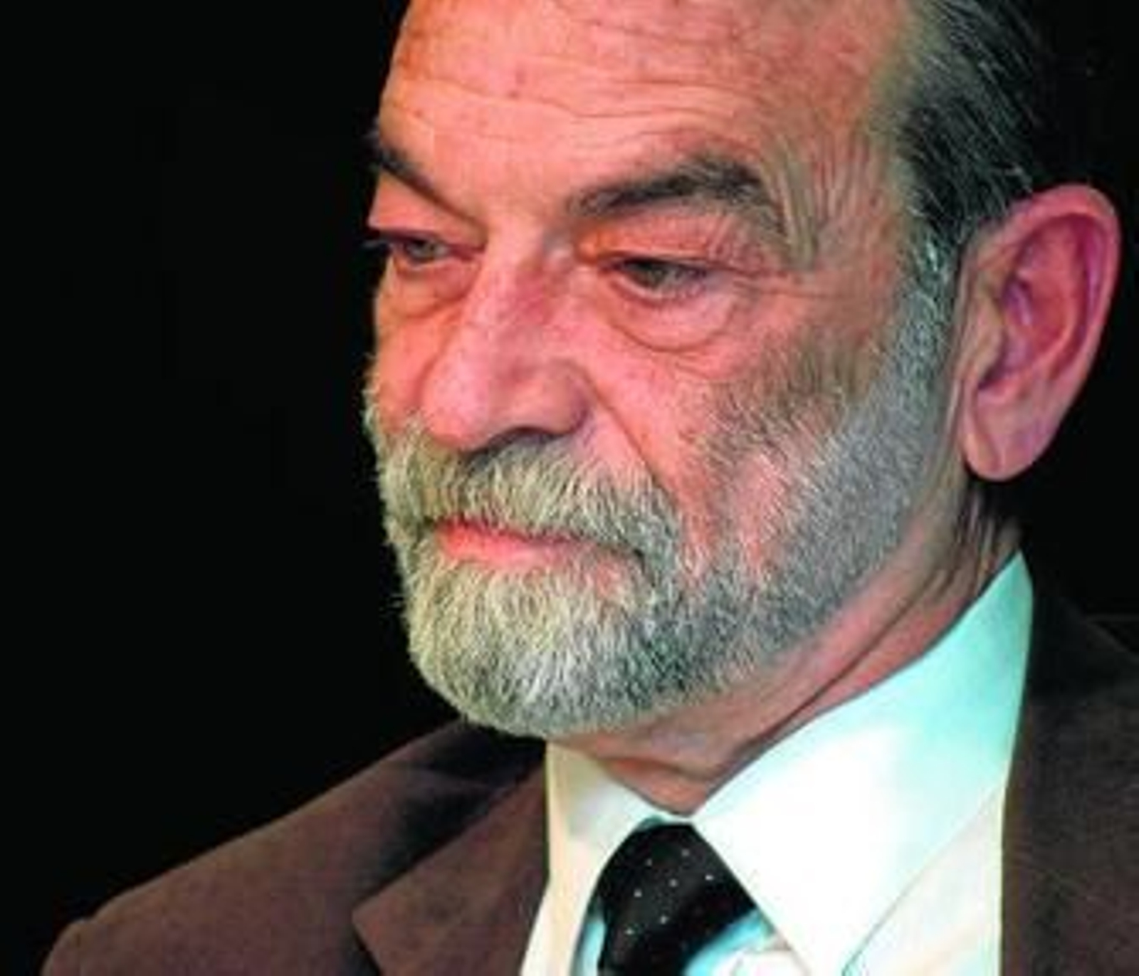 Ignacio Salas, en un acto durante su presidencia de la Academia, en 2006.