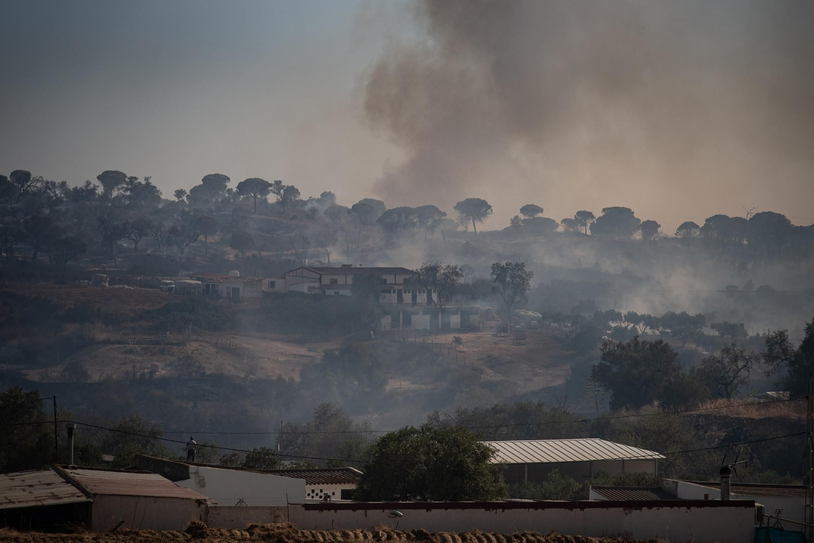 El incendio de Lucena del Puerto en imágenes