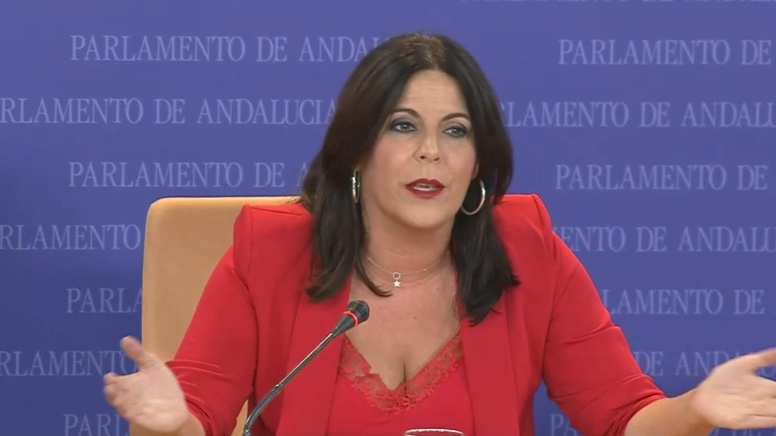 La portavoz del PSOE en el Parlamento de Andalucía, Ángeles Férriz.