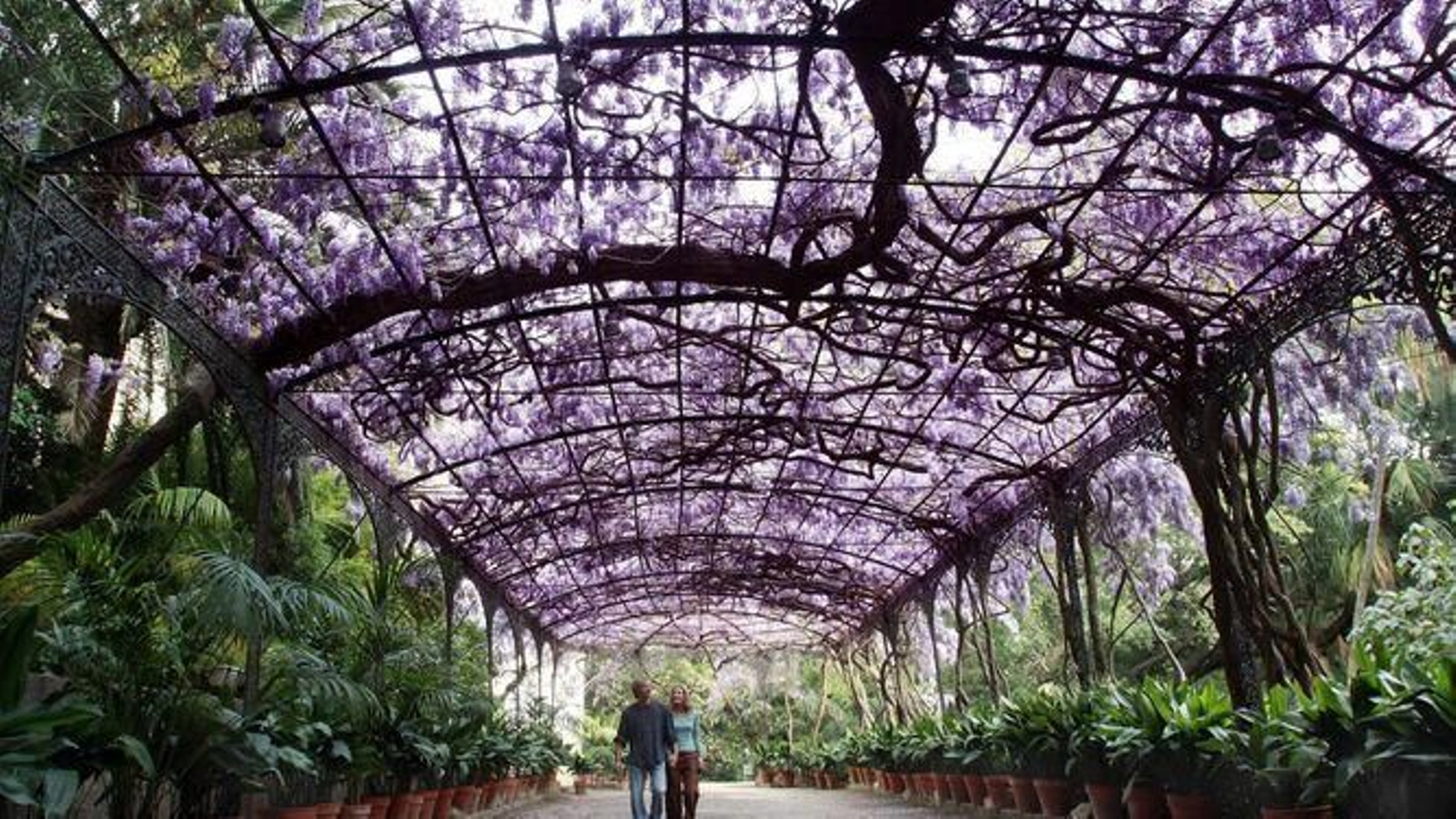 Jardín de la Concepción