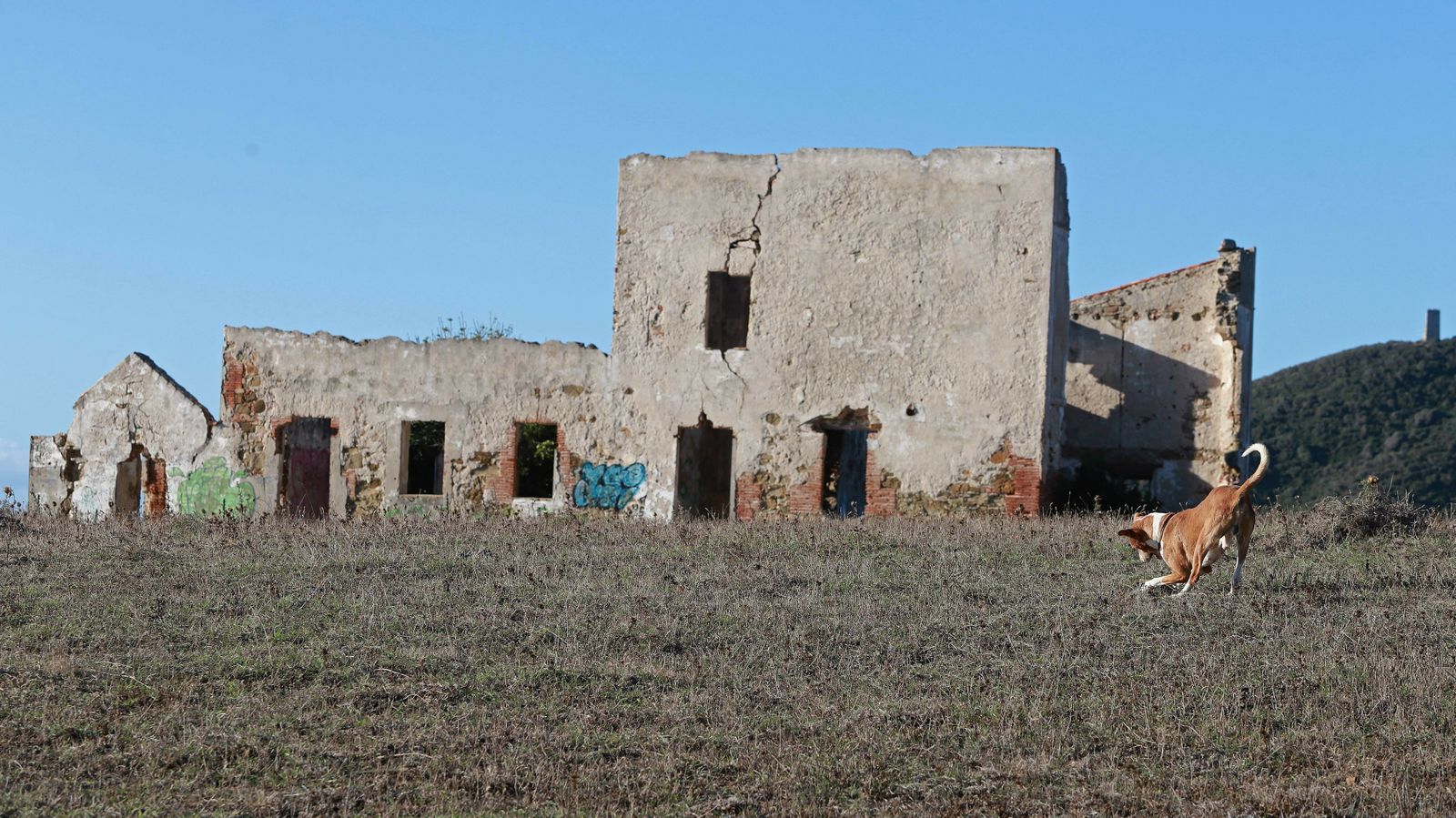 Las mejores fotos del sendero de la Colada de la Costa en Algeciras