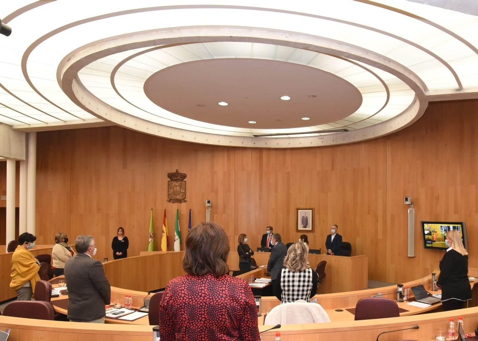 El pleno de la Diputación de Granada.