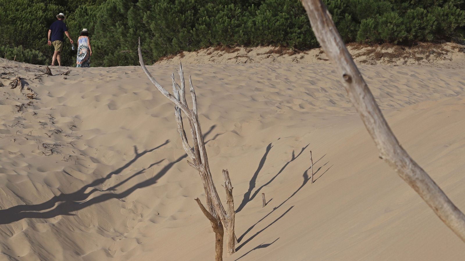 Fotos de la playa de Bolonia