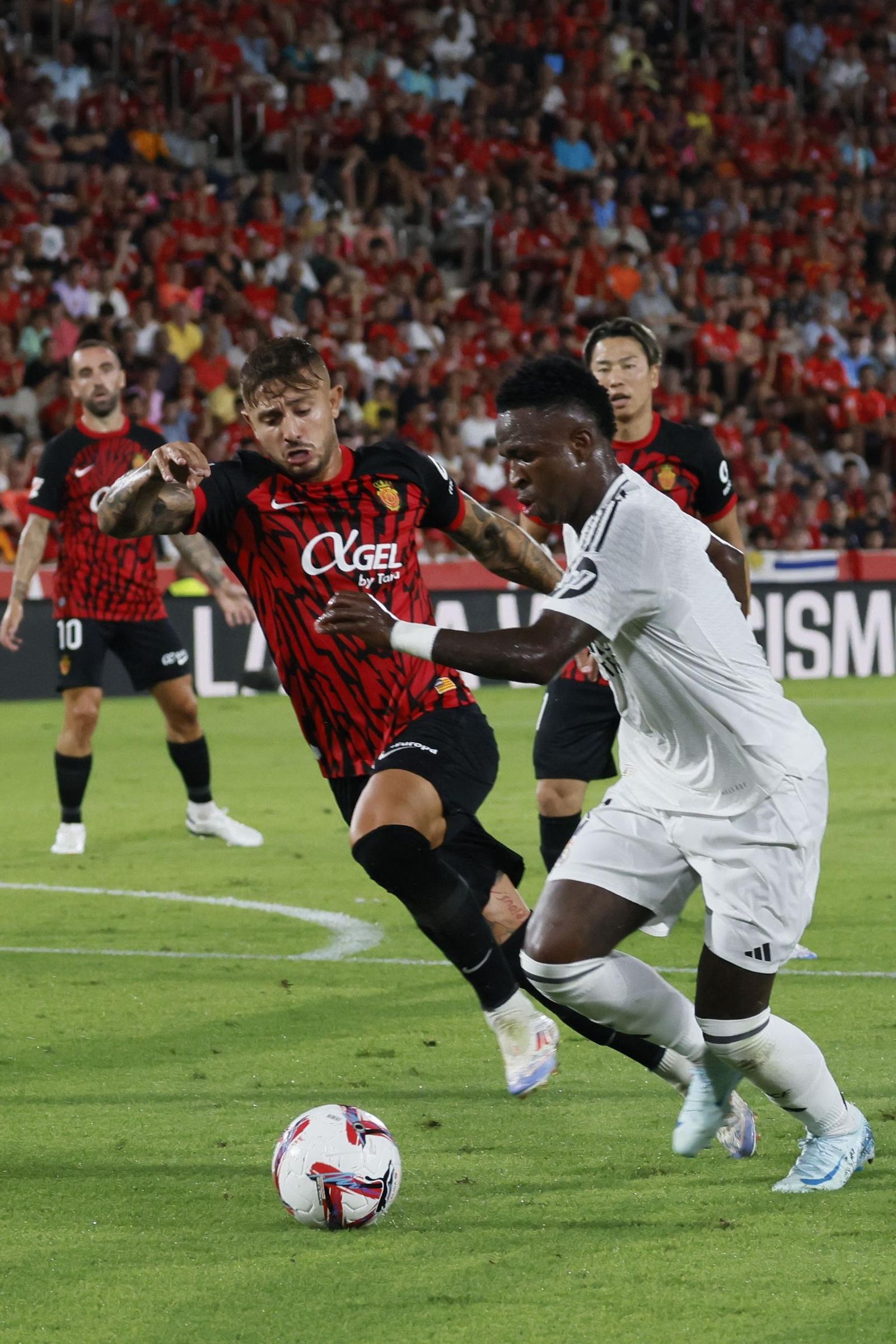 Las imágenes del Mallorca - Real Madrid