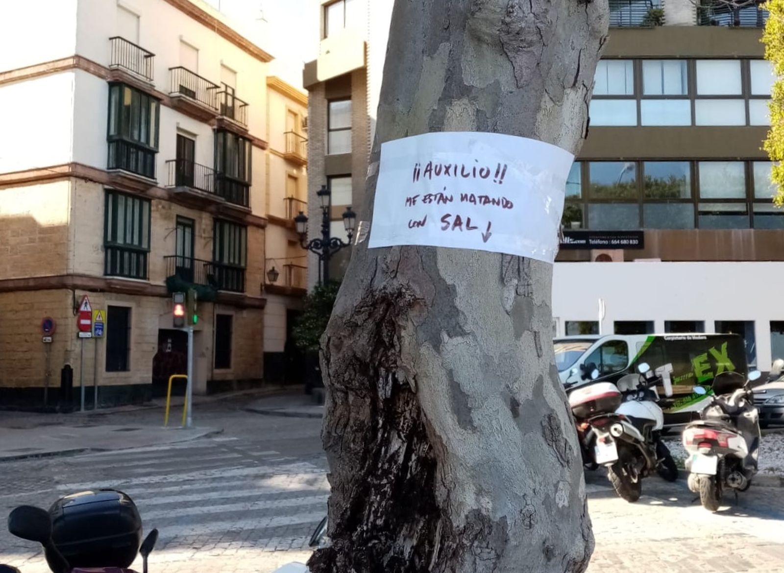 En la Alameda