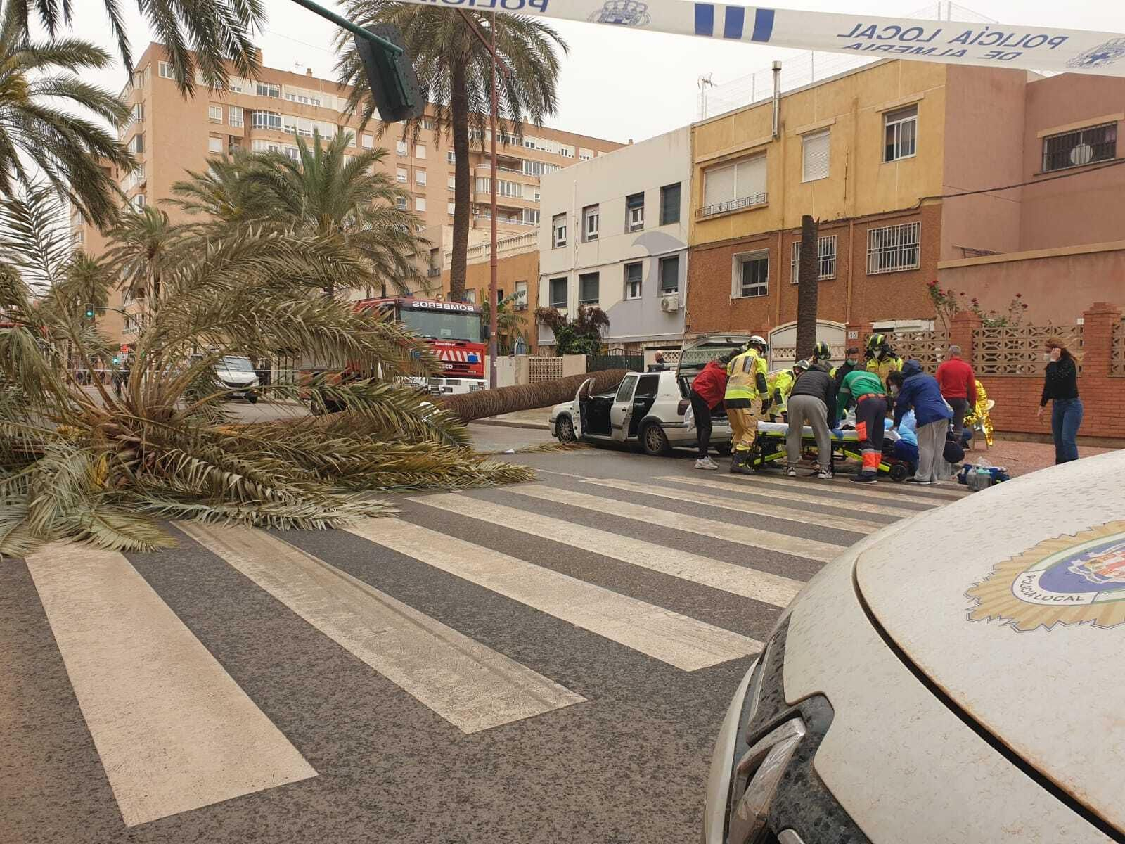 Una palmera causa un brutal accidente en Almería