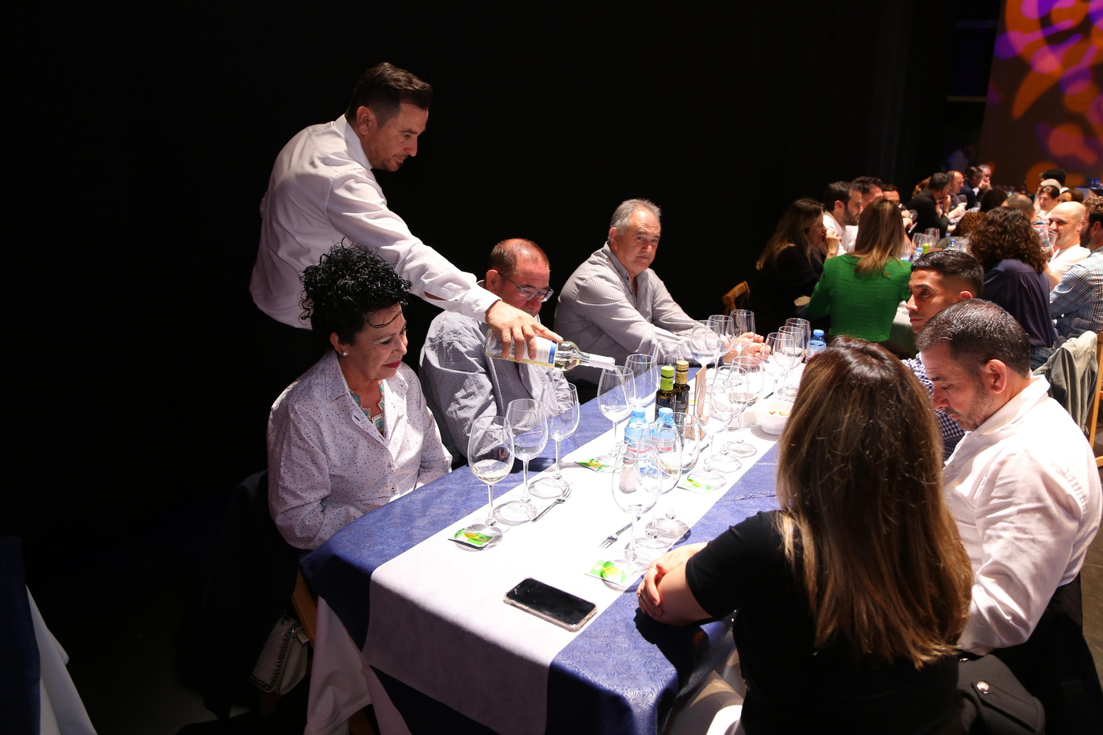 La caja escénica del Teatro Auditorio de El Ejido ha sido este año el emplazamiento para su celebración.