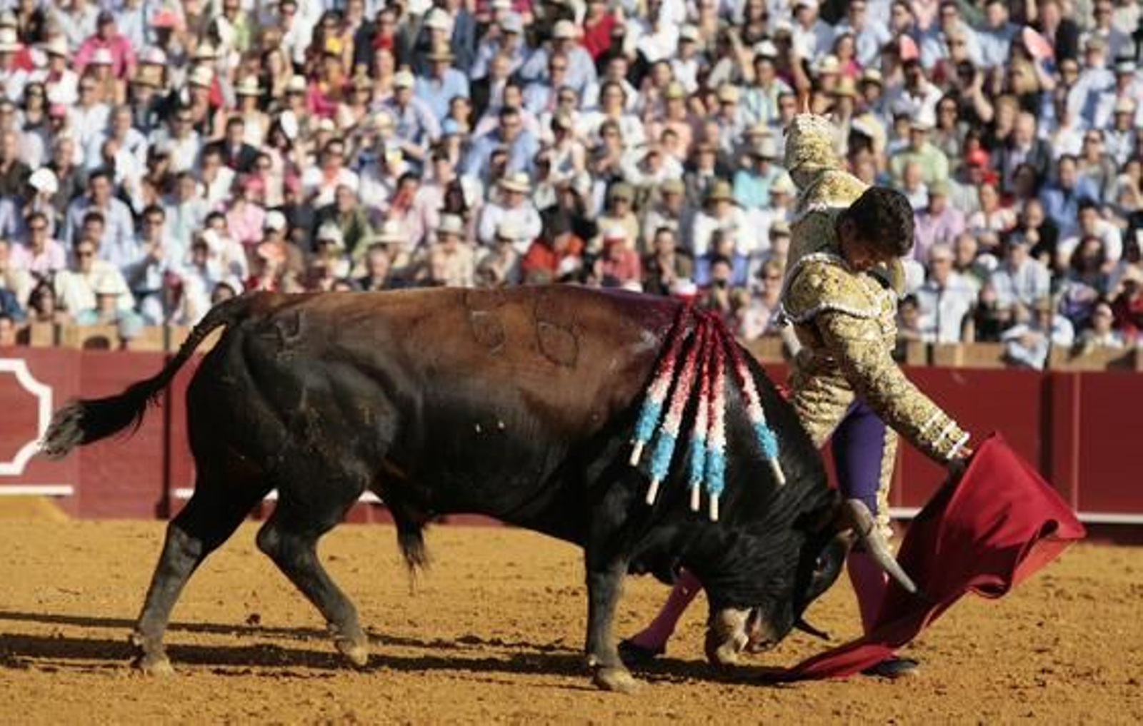 Manzanares con el segundo de la tarde en la treceava del abono de La Maestranza.

Foto: Juan Carlos Muñoz