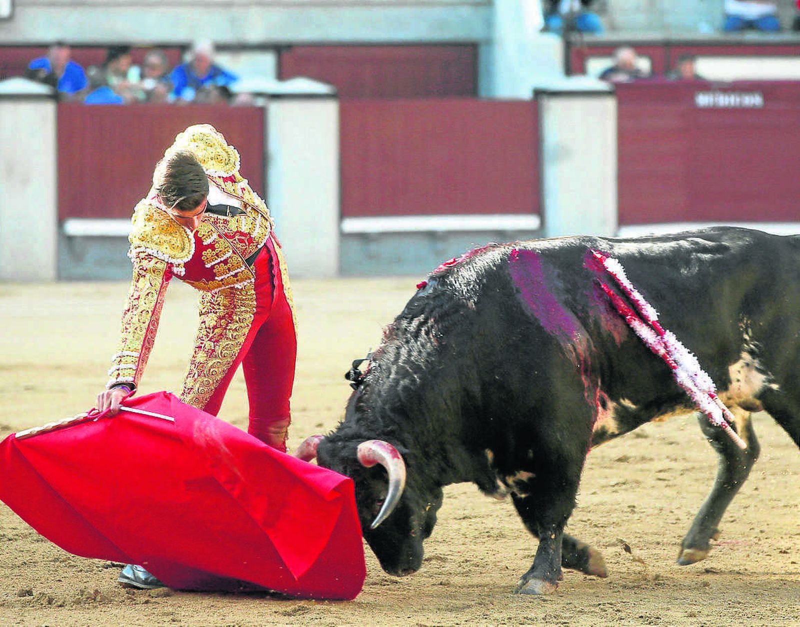 Miguel Ángel Pacheco, durante la lidia de su primer novillo, ayer en Las Ventas.