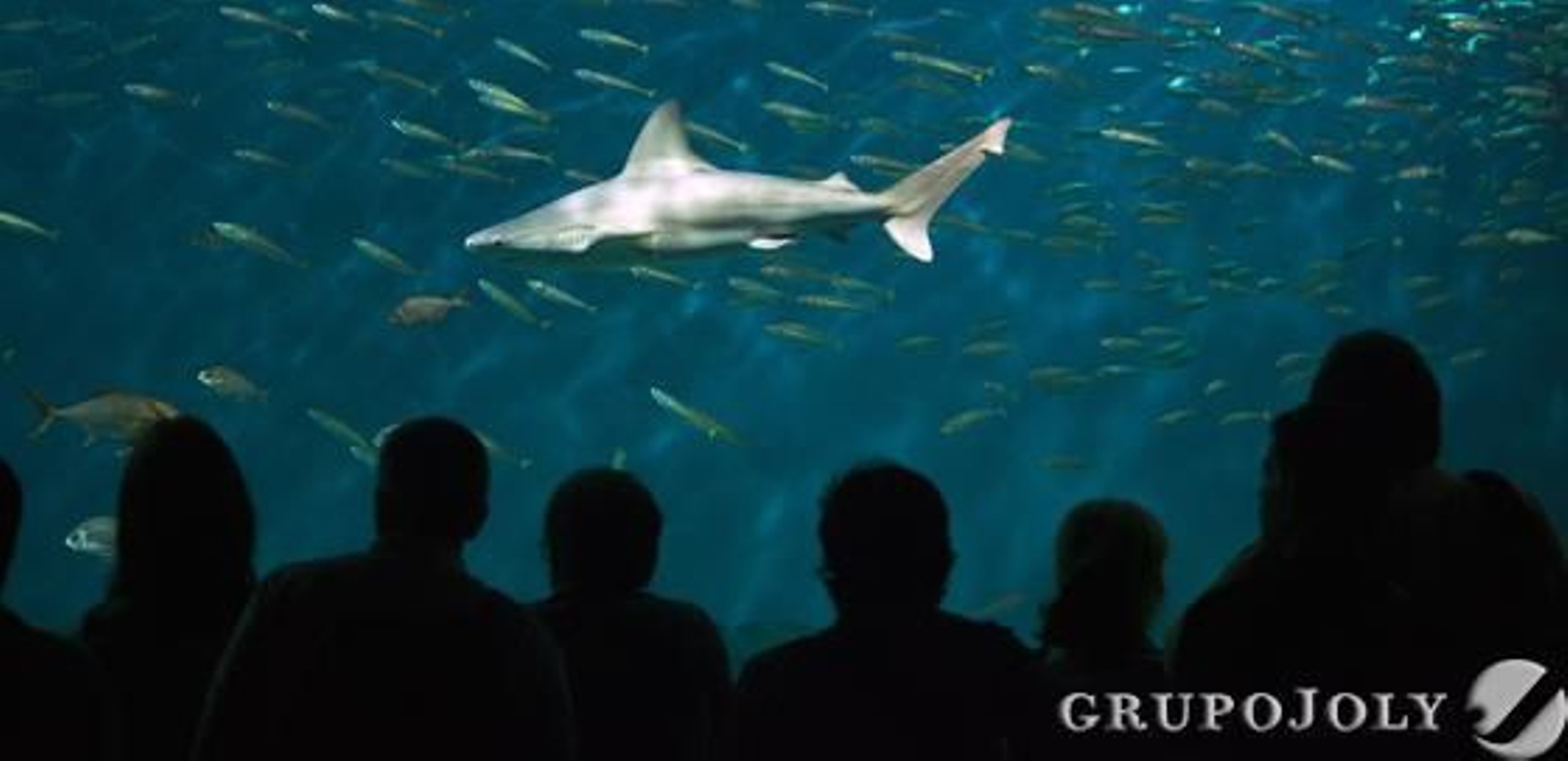 Foto: Antonio Pizarro