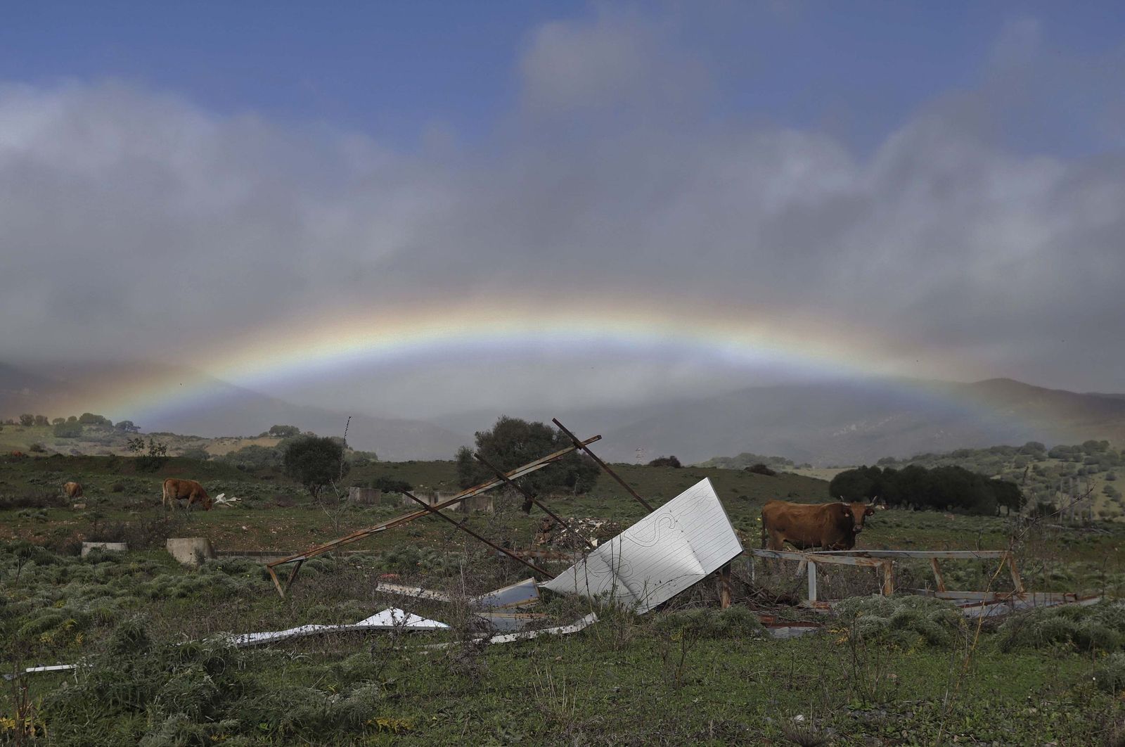 Fotos de los desperfectos provocados por las borrascas en Jimena de la Frontera