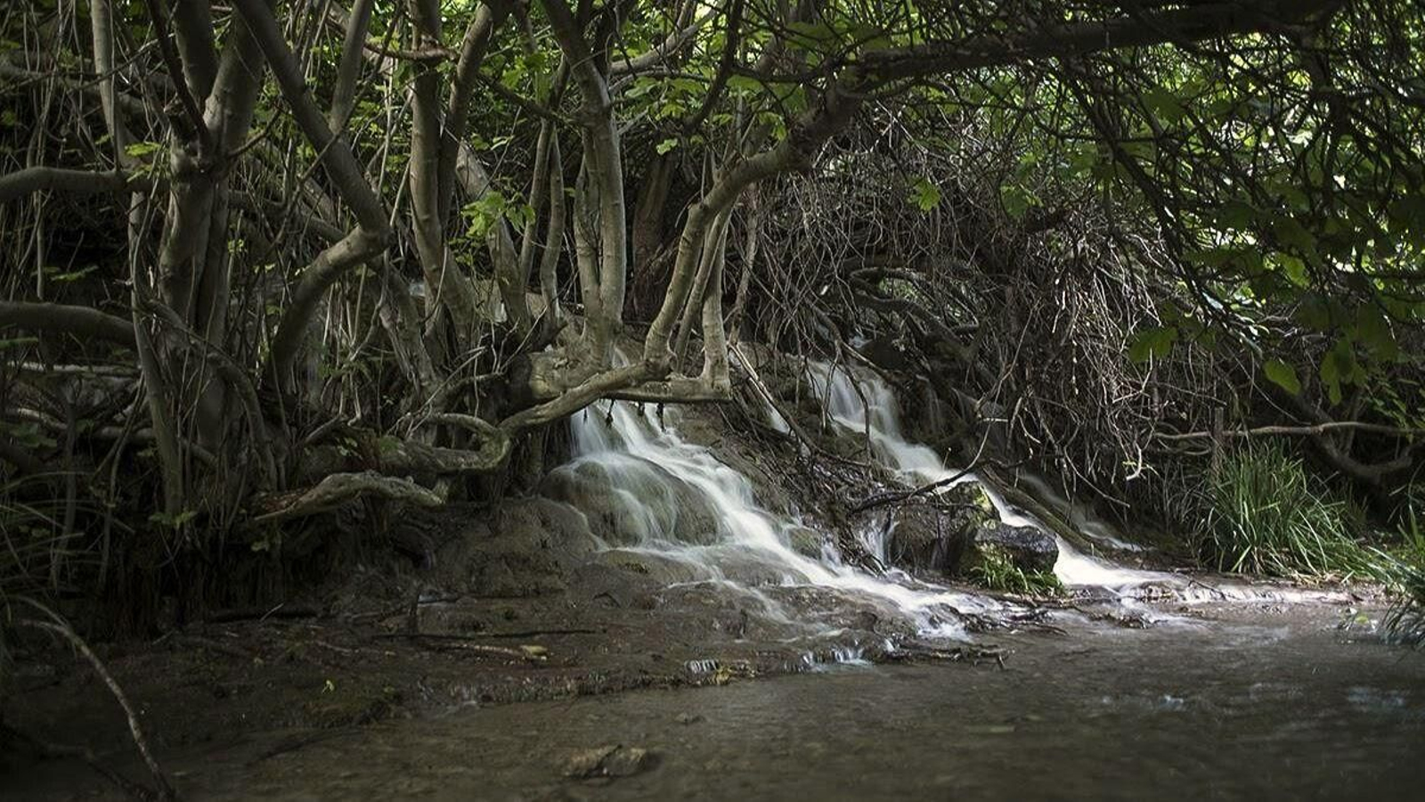 National Geographic reseña este lugar como uno de los indispensables para visitar en otoño.
